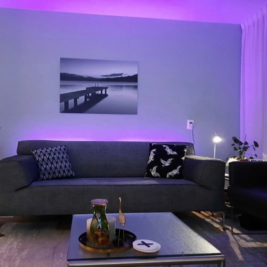 1 meter complete set RGBW led strip met Zigbee controller