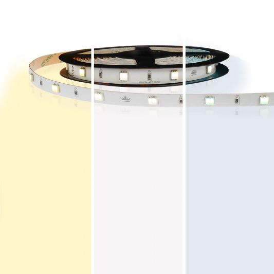 1 meter led strip DUAL WHITE Budget - 60 SMD leds pm - 24V IP65