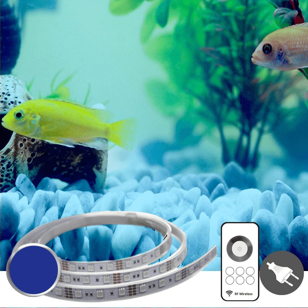Noord West roddel aanvaarden Aquarium led strip blauw complete set 10 t/m 50 centimeter - LedstripKoning