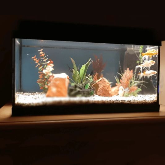 100 t/m 150 cm WARM WIT complete set aquarium led strip