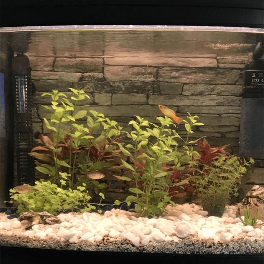 100 t/m 150 cm WARM WIT complete set aquarium led strip