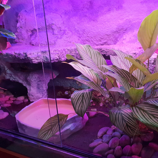 2,5 t/m 5 meter - RGB aquarium LED strip