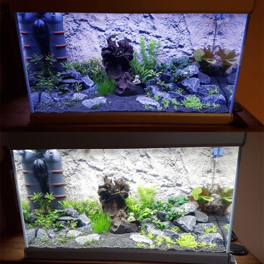 2 x enkele kleur ledstrip 50 - 70 cm - compleet