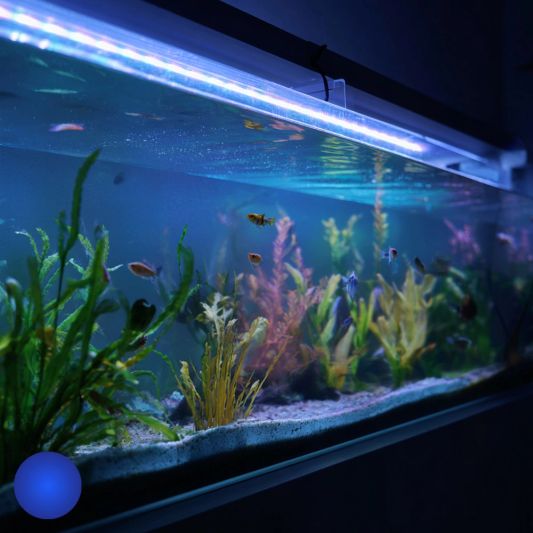 2,5 t/m 5 meter aquarium LED strip Blauw