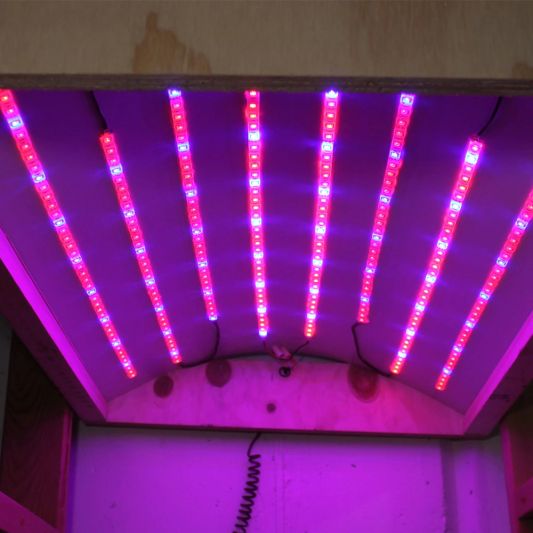 5 meter groei led strip IP65/67 24V - R:W:R:B=2:1:2:1 - 60 leds p/m
