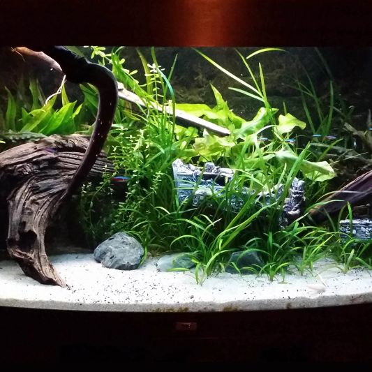 50 t/m 70 cm aquarium LED strip Koud Wit