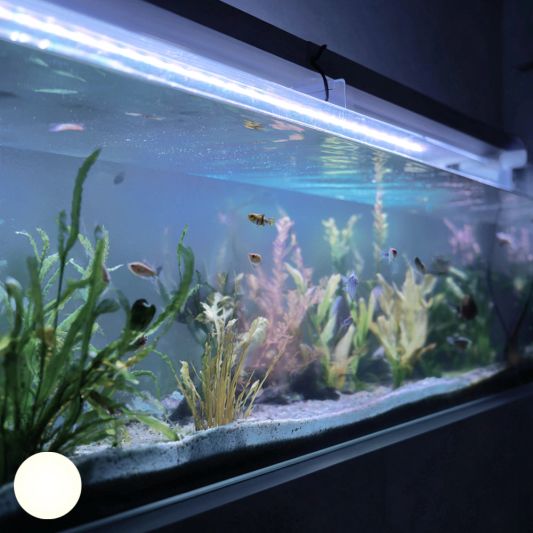 50 t/m 70 cm aquarium LED strip Koud Wit