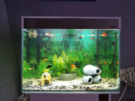 50 t/m 70 cm HELDER WIT complete set aquarium led strip