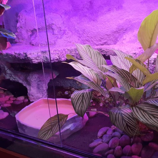 70 t/m 100 cm - RGB aquarium LED strip