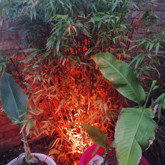 Milight WIFI LED tuinspot/schijnwerper RGBWW - 9 Watt