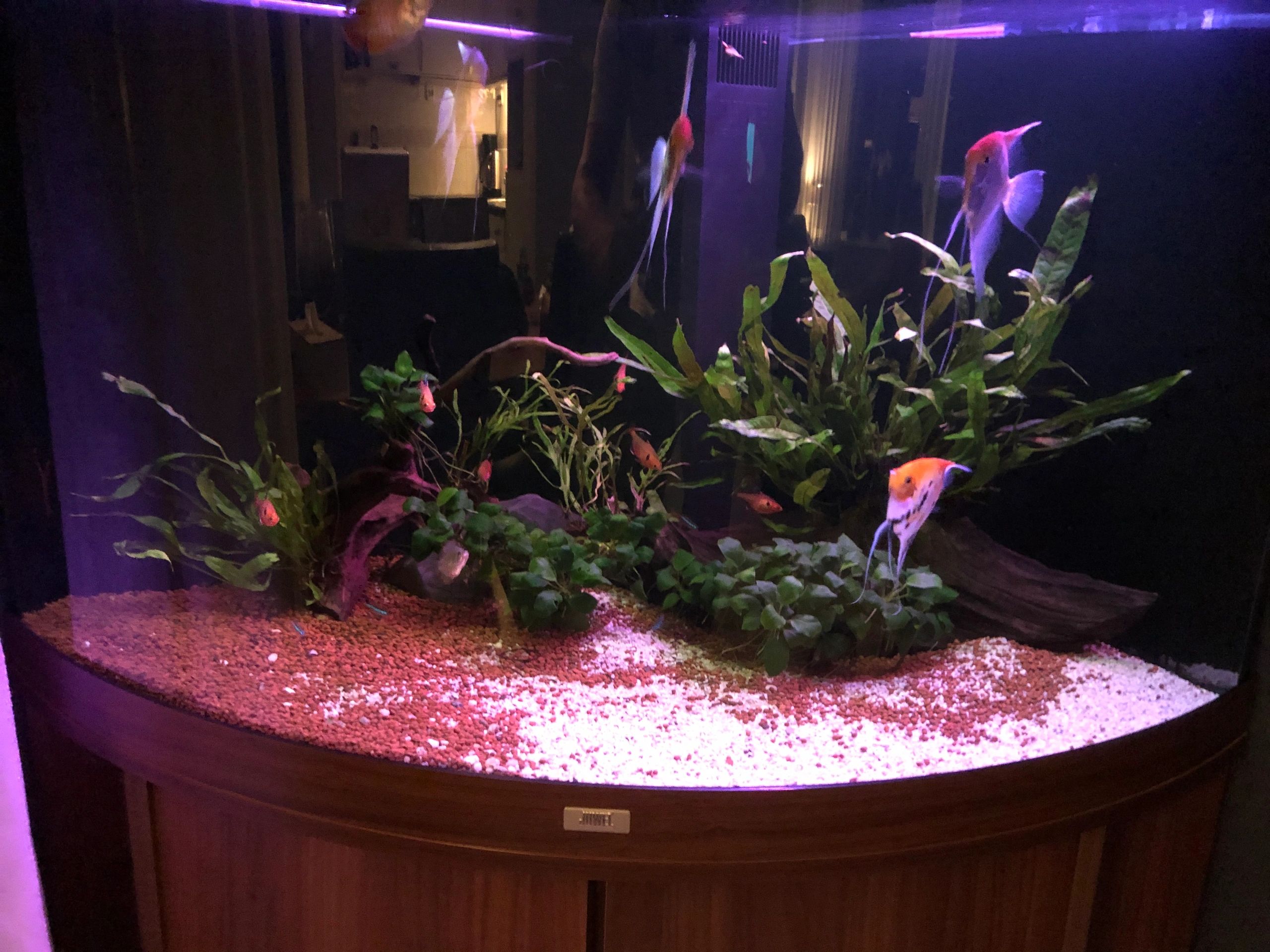 RGB led strip + enkele kleur strip: 100 - 150 cm complete set
