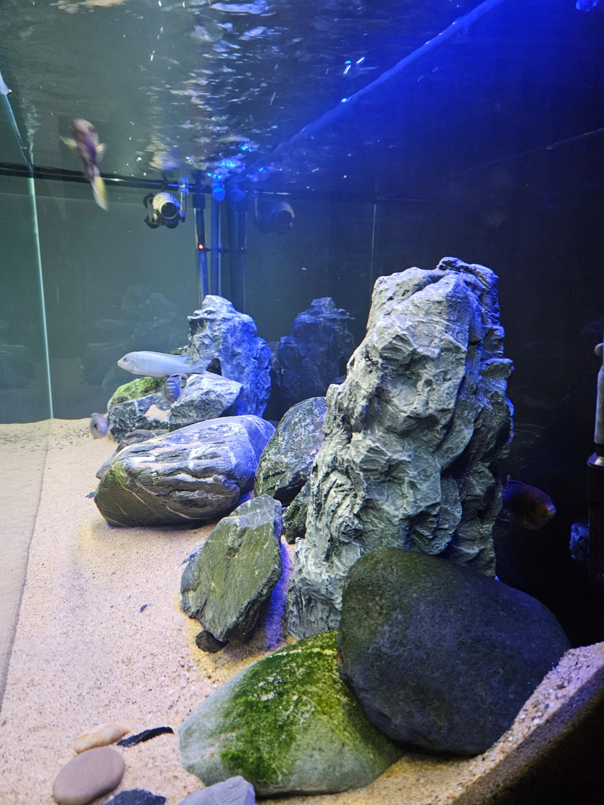 1,5 t/m 2 meter aquarium LED strip Koud Wit