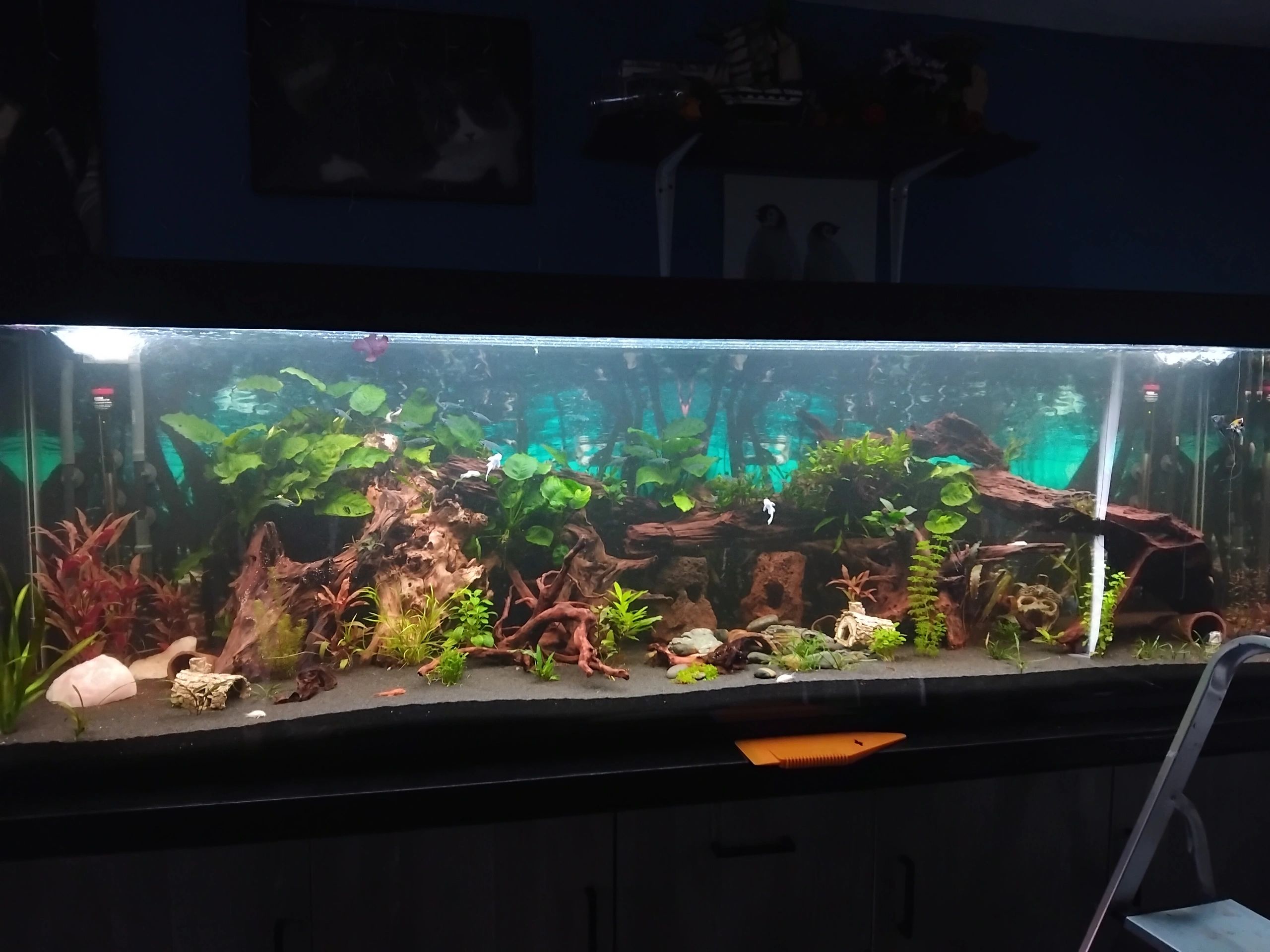 50 t/m 70 cm aquarium LED strip Koud Wit