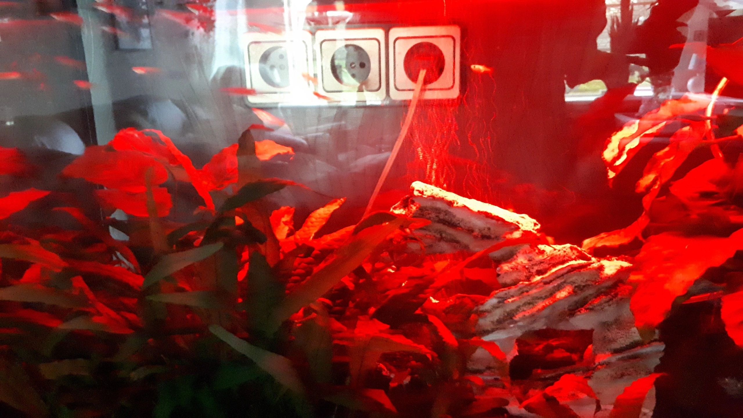 RGB led strip + enkele kleur strip: 100 - 150 cm complete set