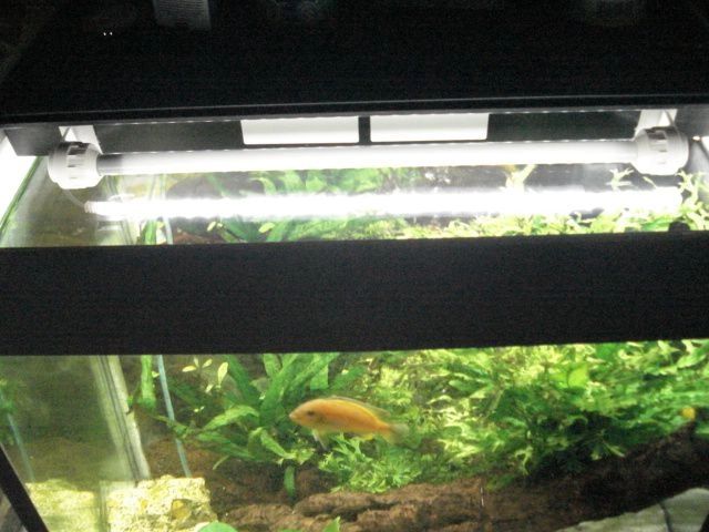 1,5 t/m 2 meter HELDER WIT complete set aquarium led strip