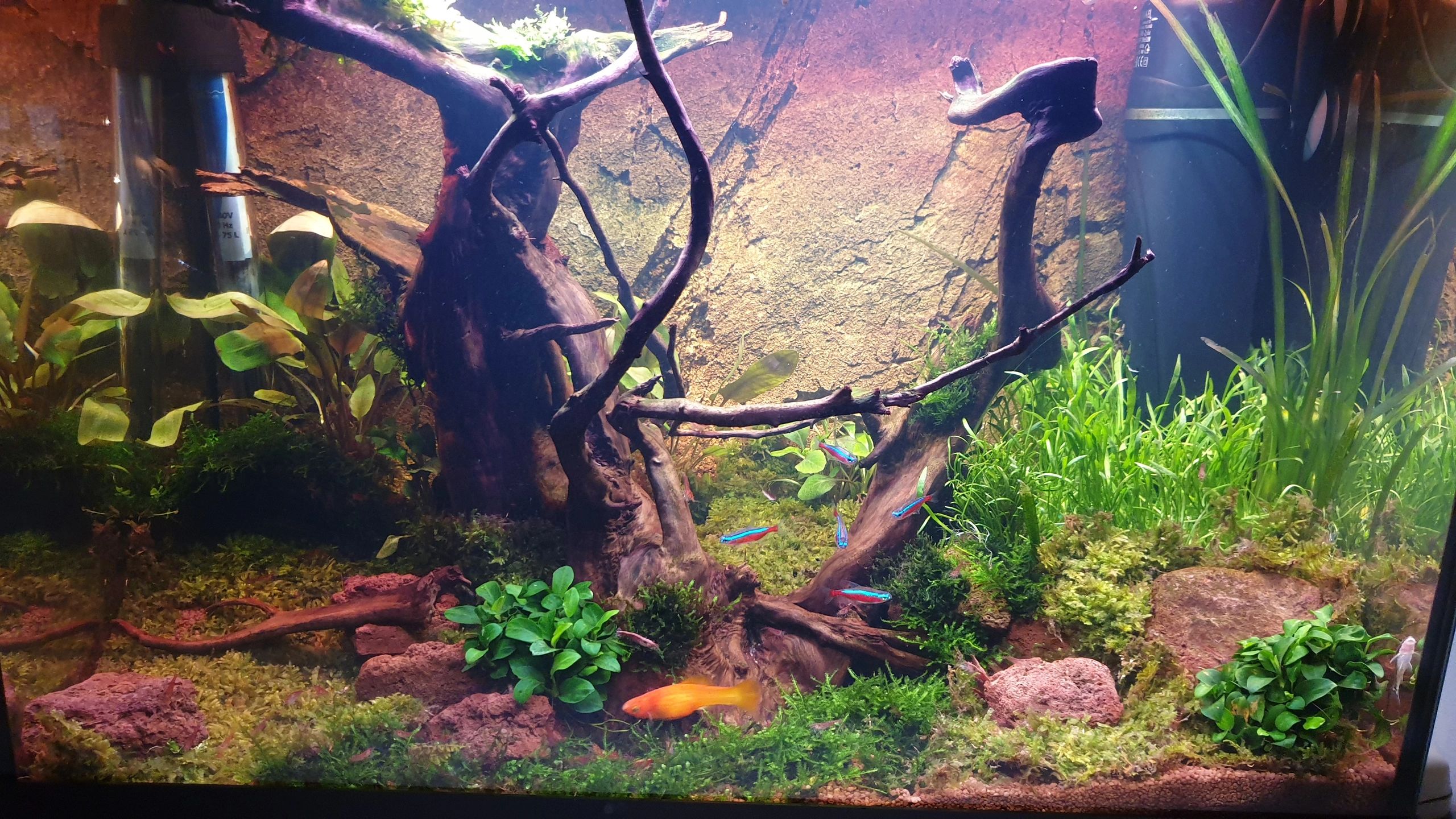 44 knops afstandsbediening IR