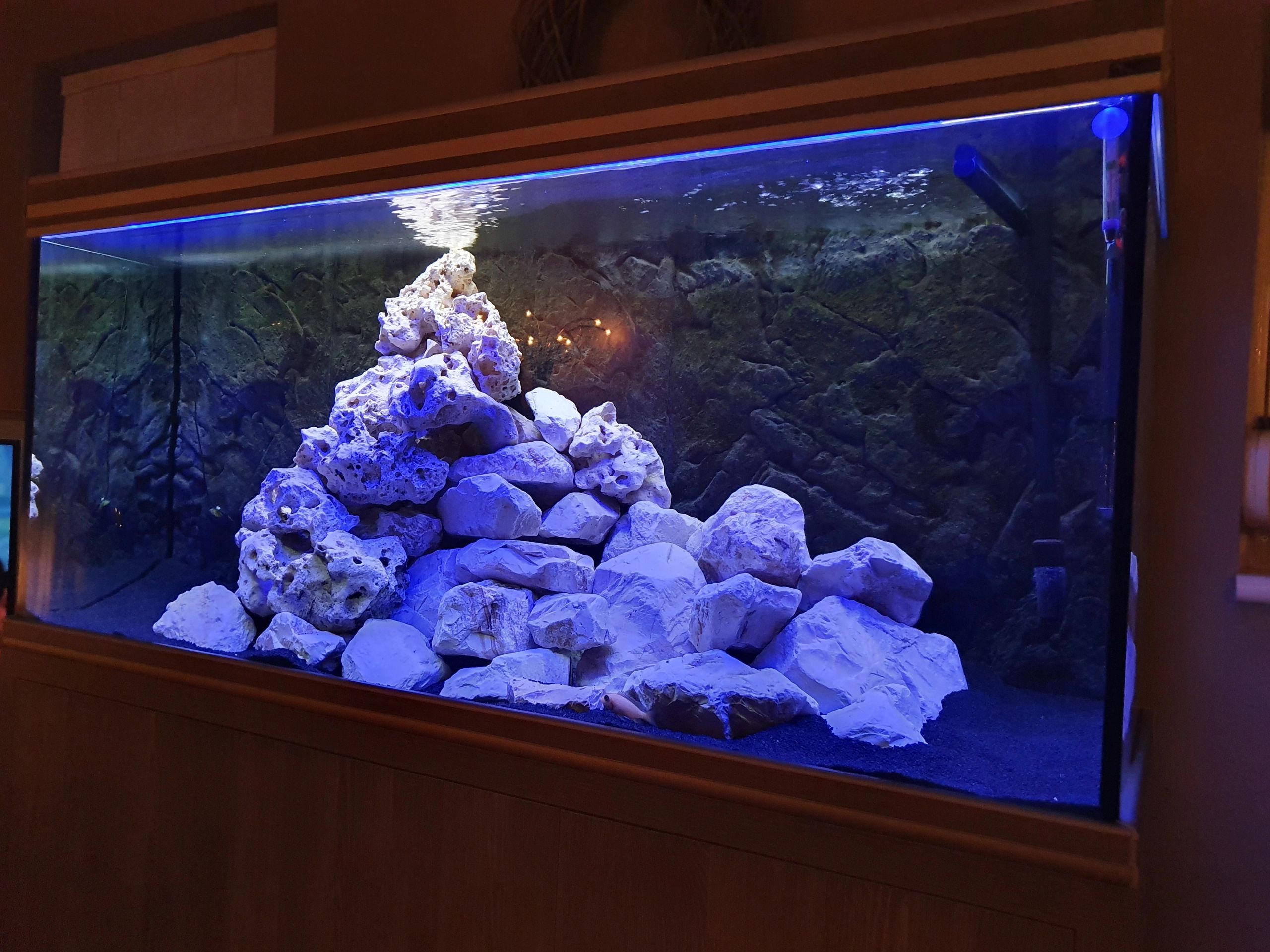 2,5 t/m 5 meter BLAUW complete set aquarium led strip