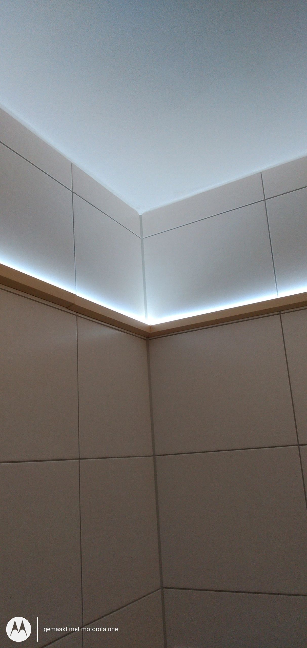 Dual White splitter kabel in 2 delen