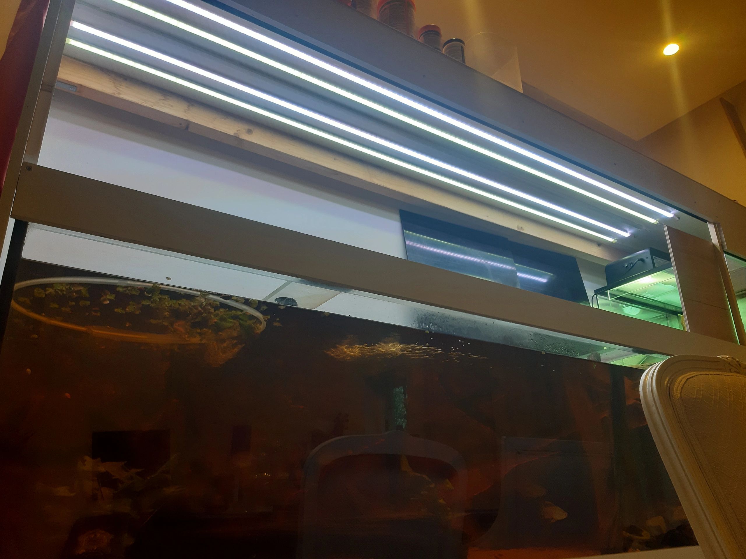 4 meter - 240 LEDS - RGB led strip