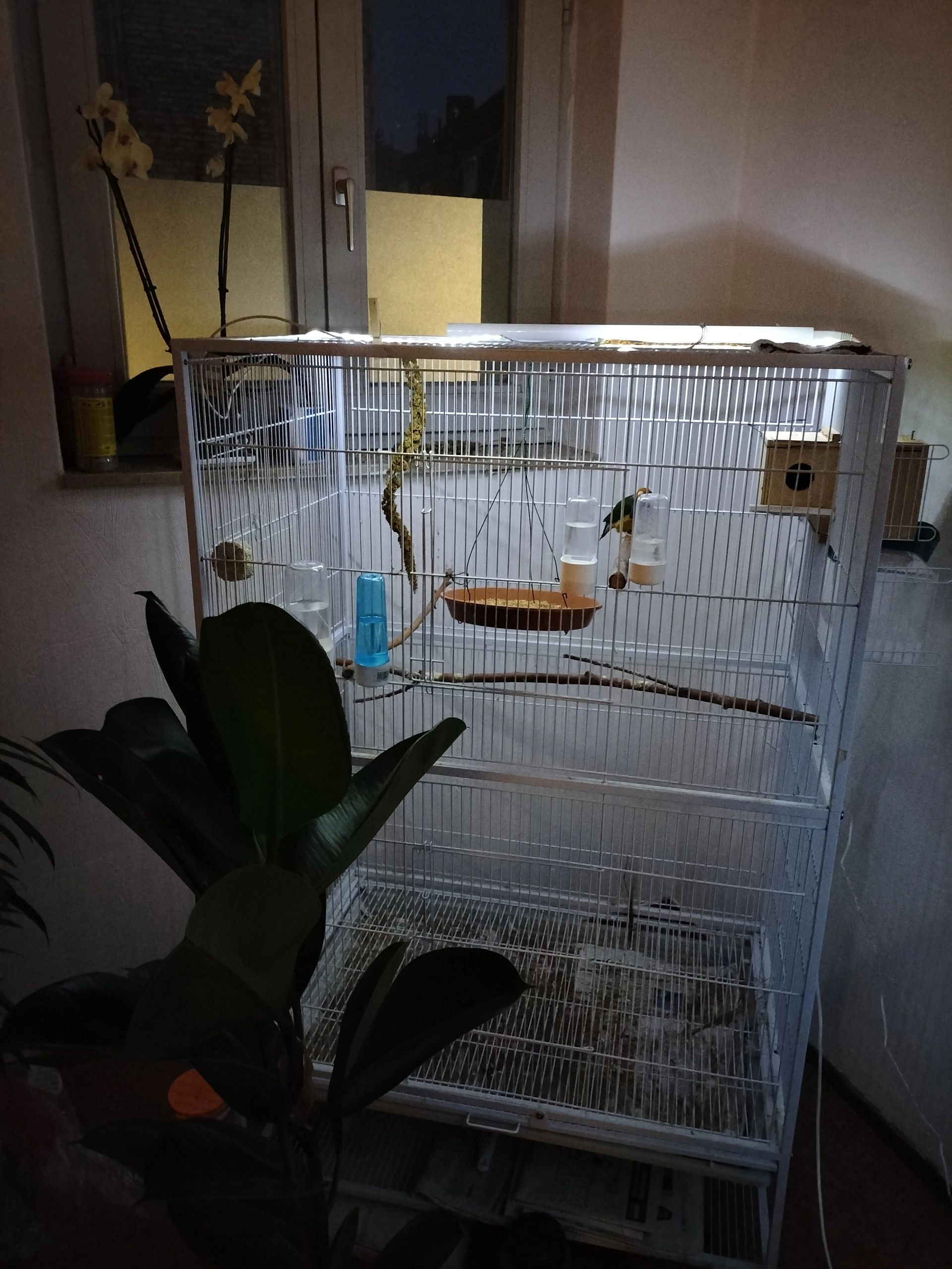 20W - 12V Professionele compacte led driver