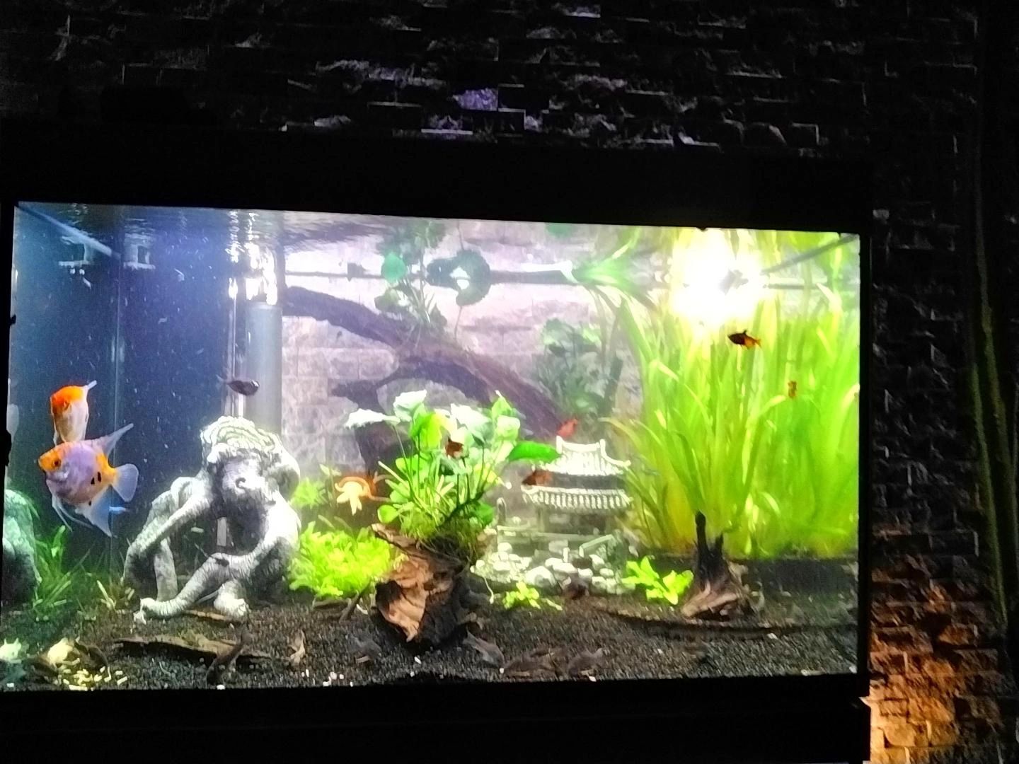 5 meter LED flex Dual White Midi Top View - complete set verlichting