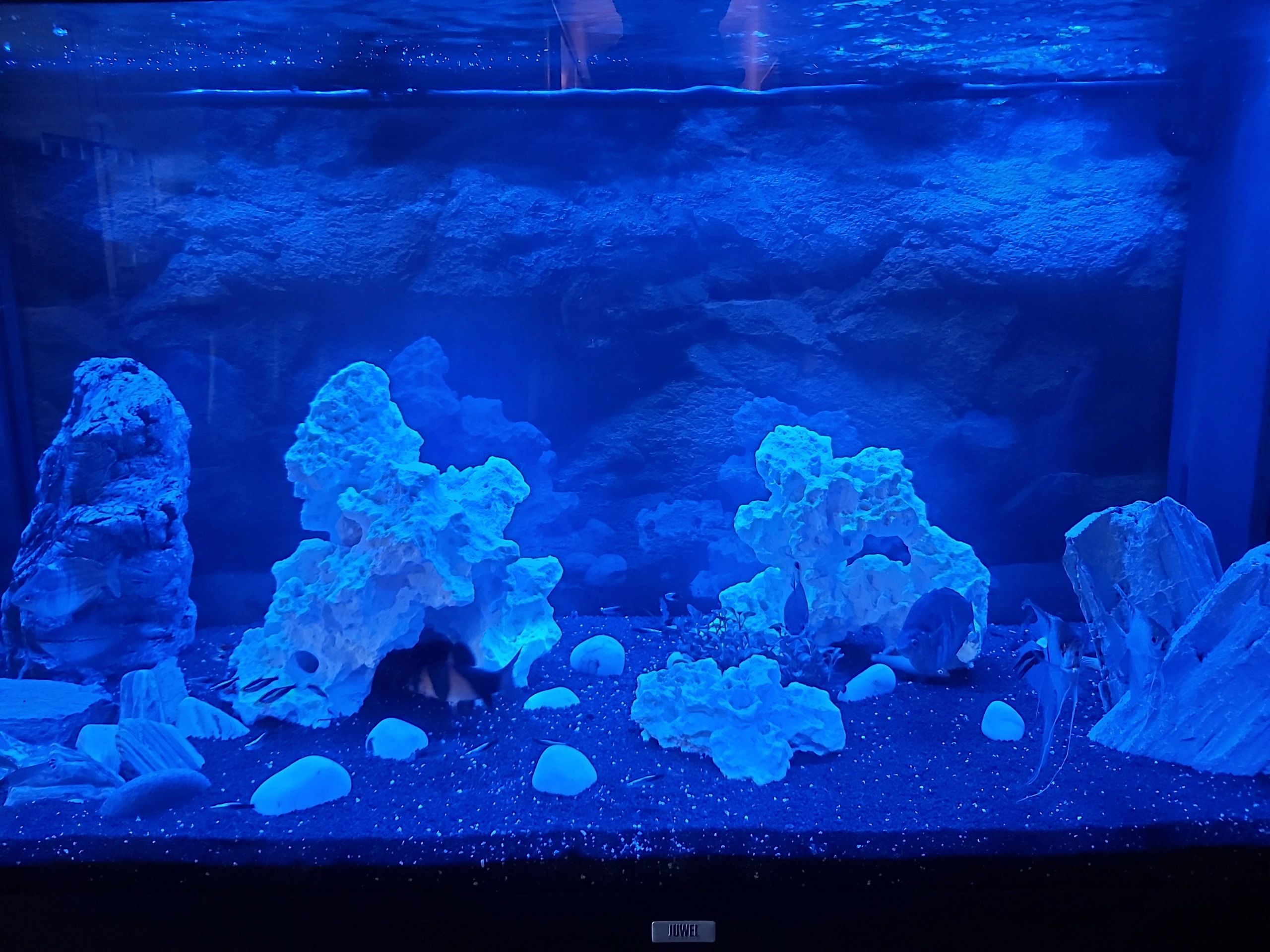 2,5 t/m 5 meter BLAUW complete set aquarium led strip