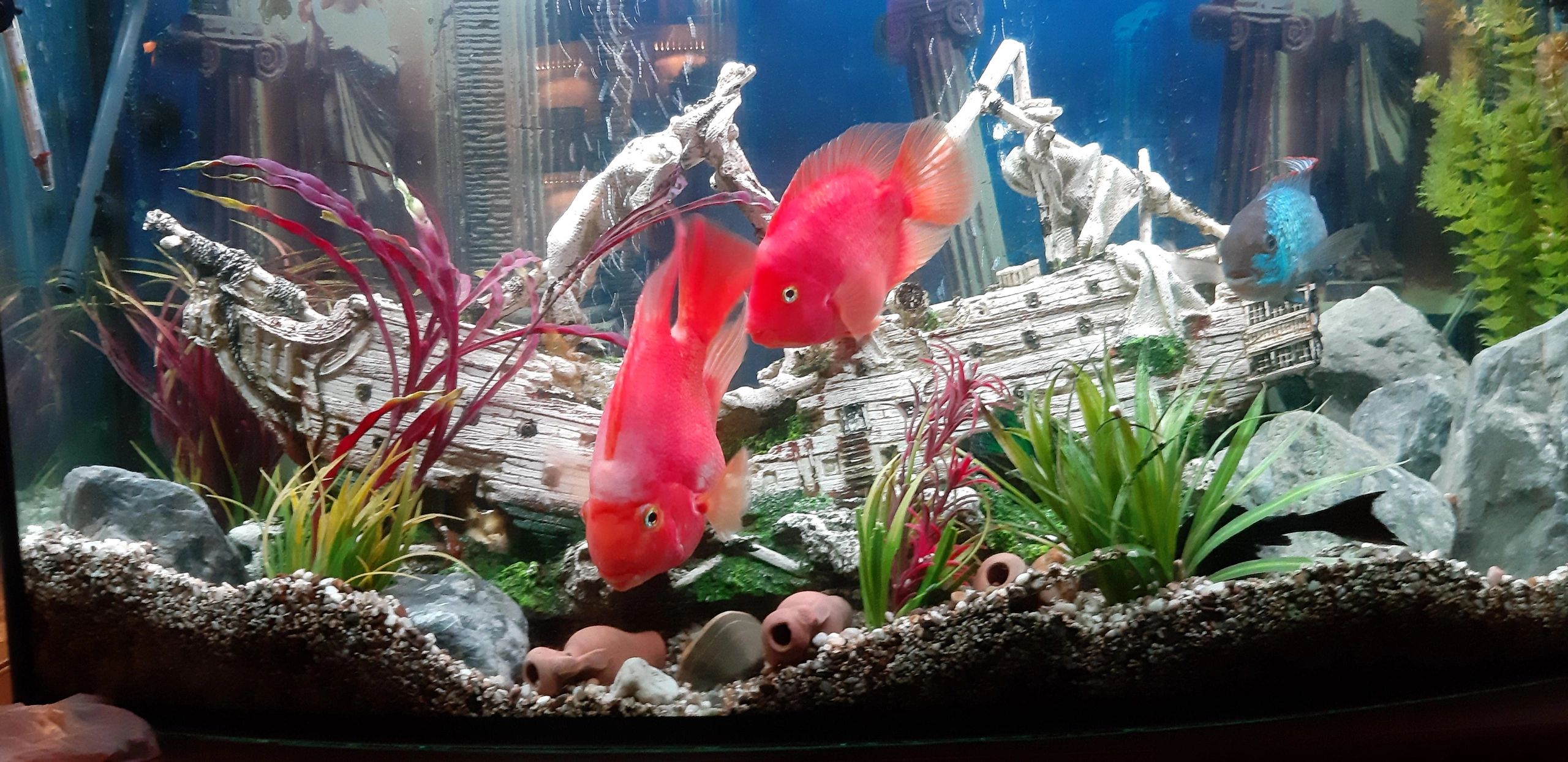 2 x RGB led strip: 200 - 250 cm complete set