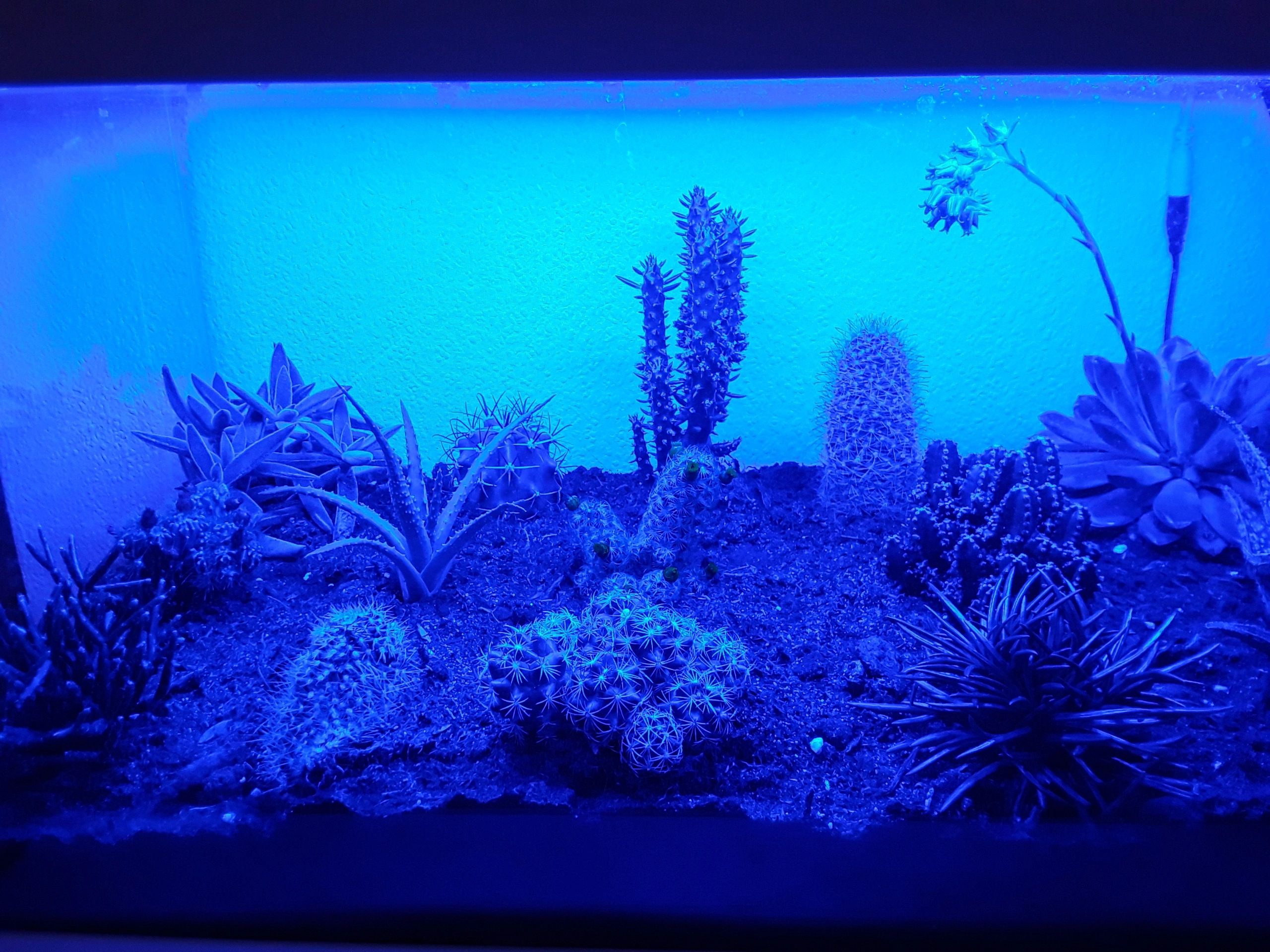 2,5 t/m 5 meter BLAUW complete set aquarium led strip