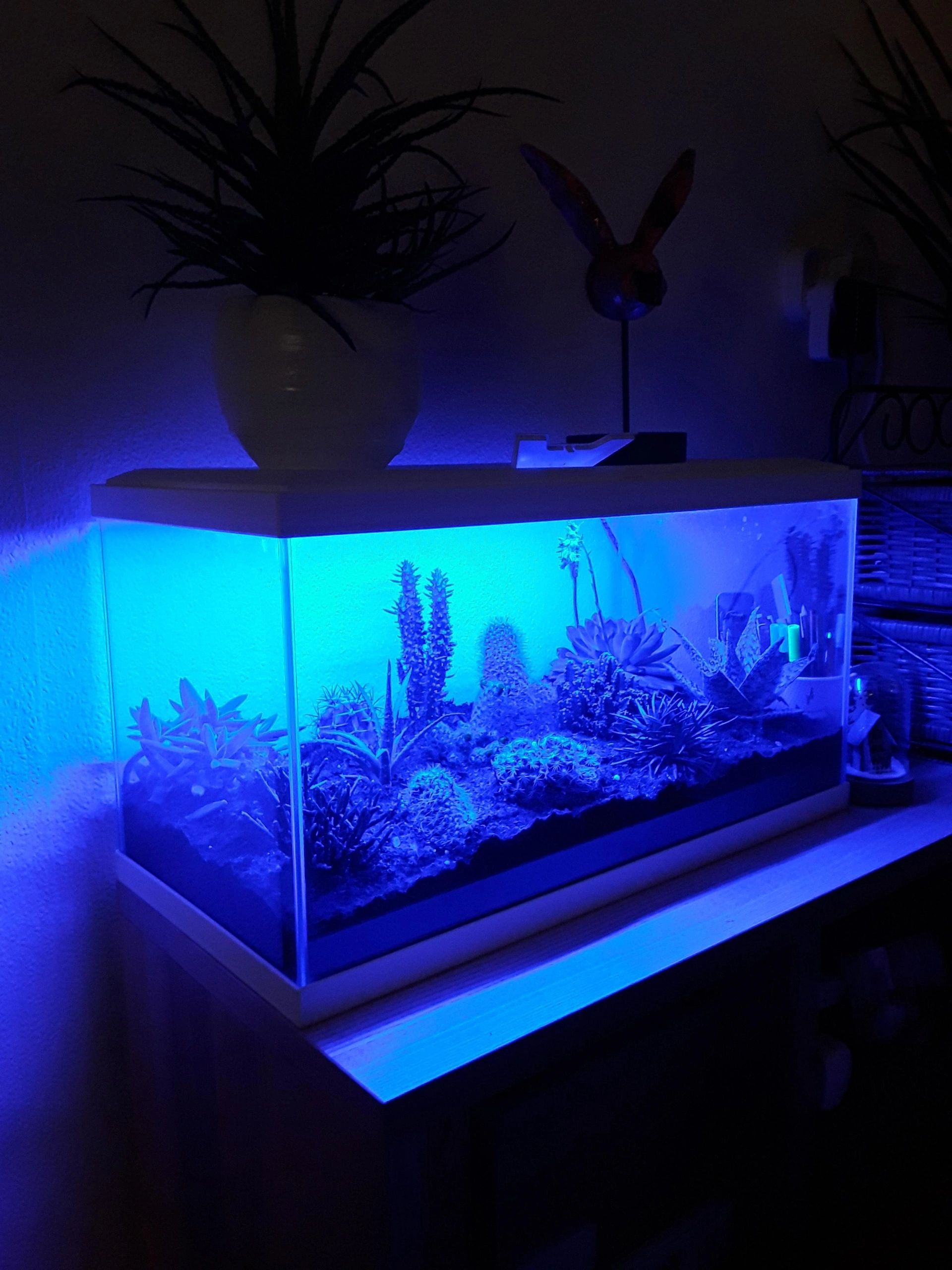 2,5 t/m 5 meter BLAUW complete set aquarium led strip