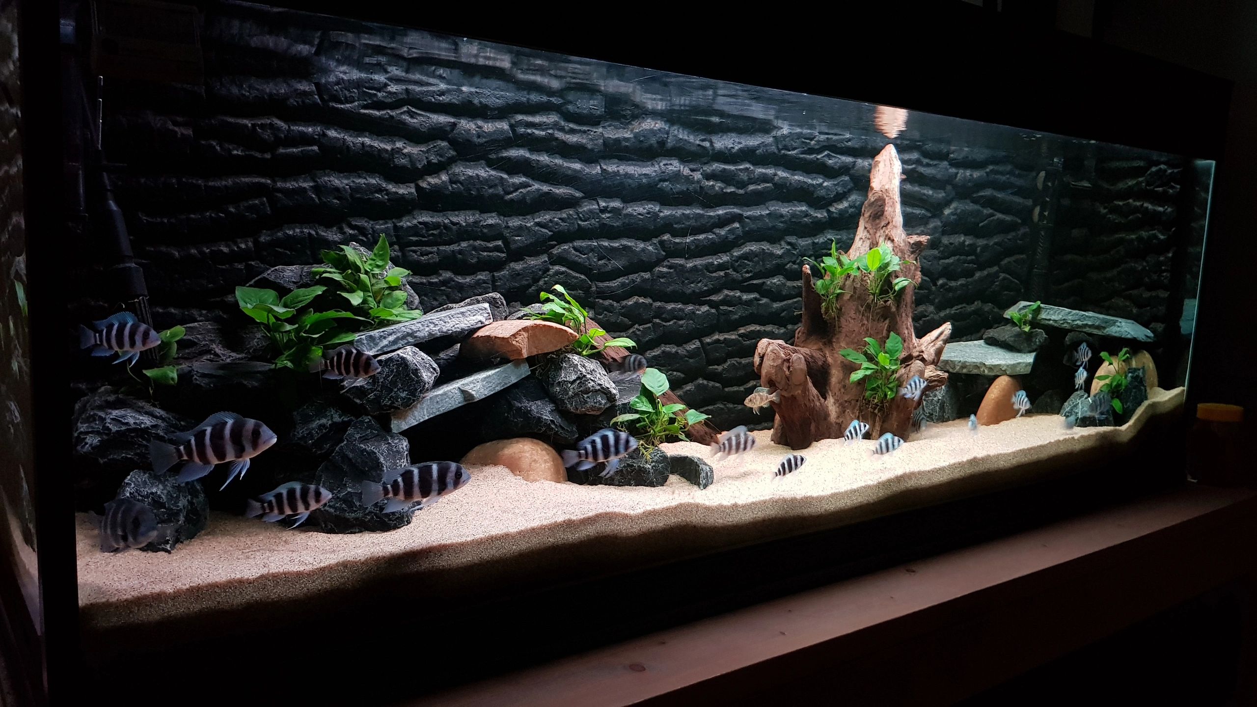 1,5 t/m 2 meter HELDER WIT complete set aquarium led strip