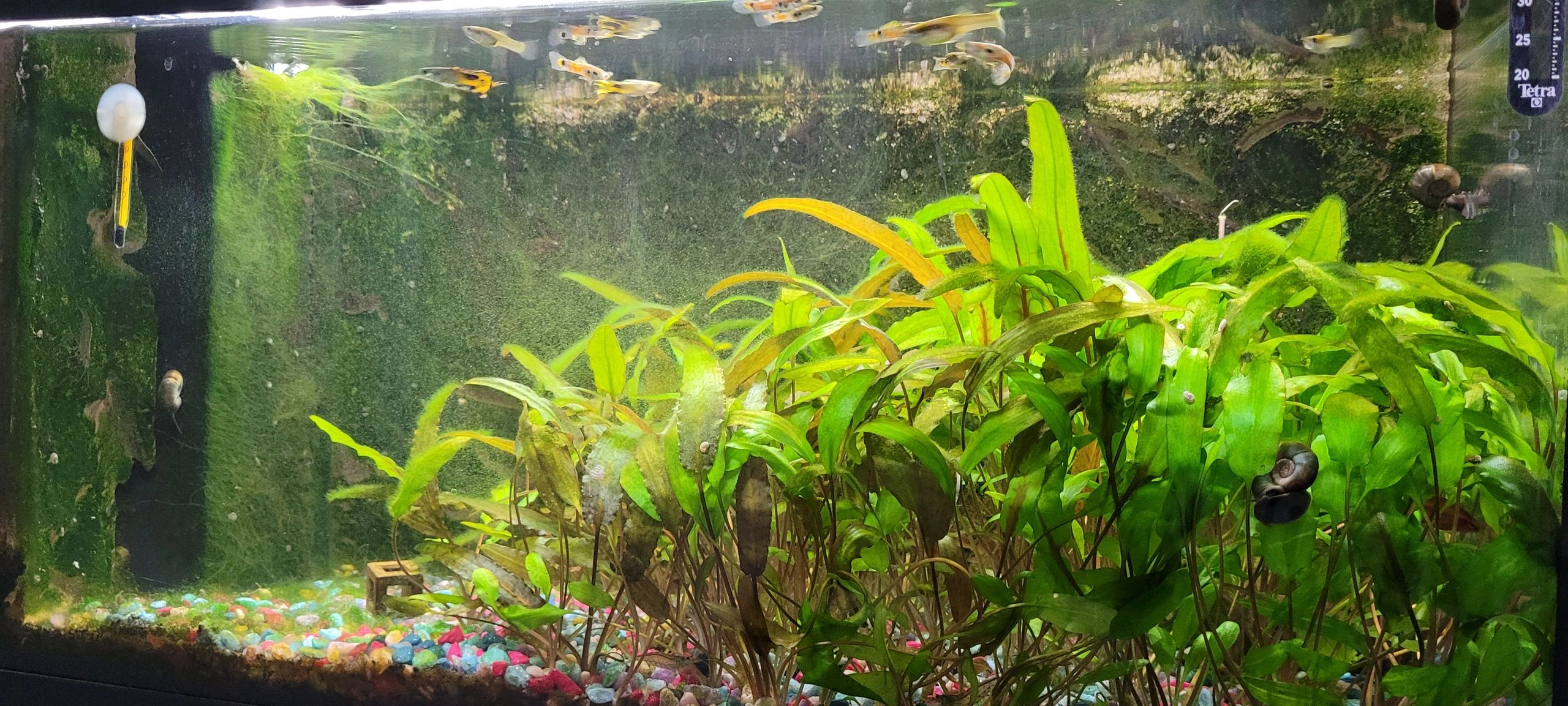 1,5 t/m 2 meter HELDER WIT complete set aquarium led strip