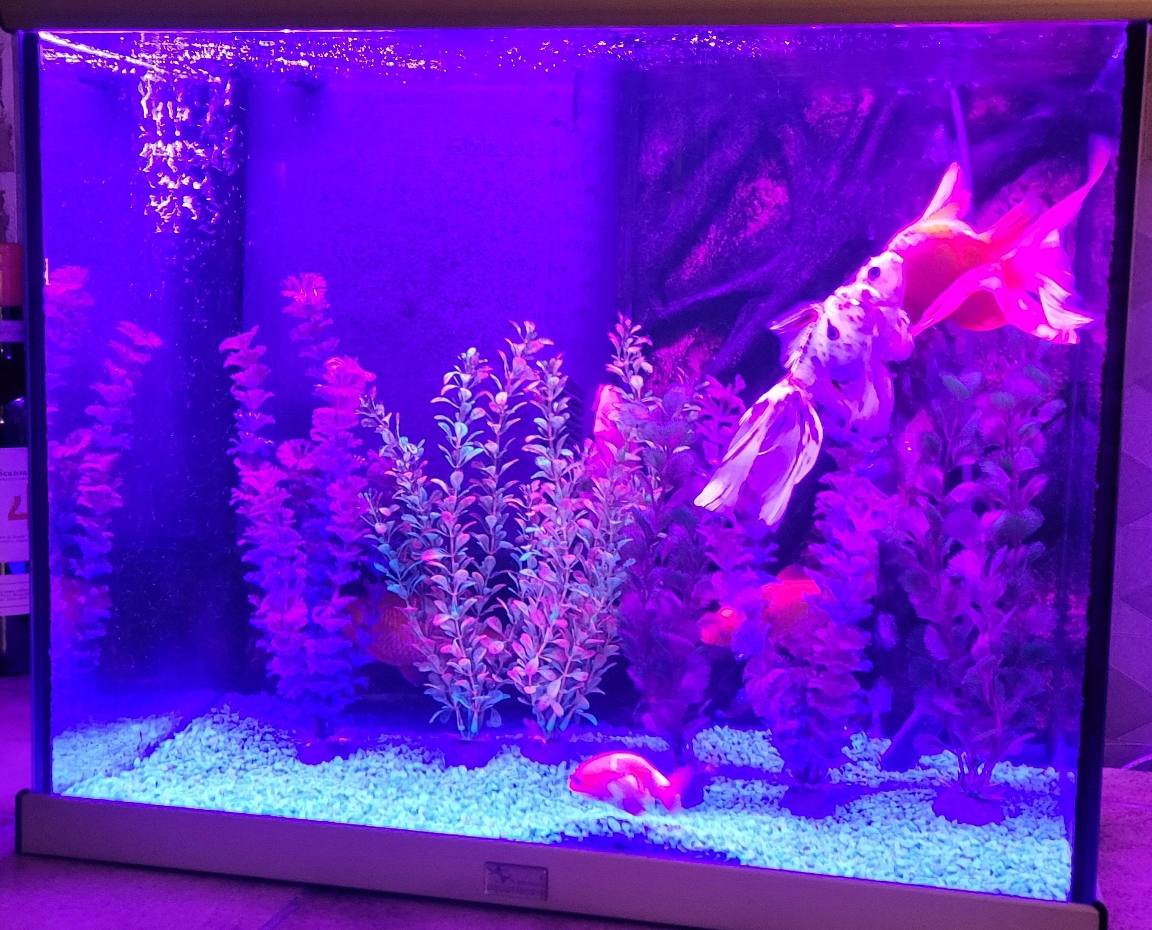 2 x RGB led strip: 200 - 250 cm complete set