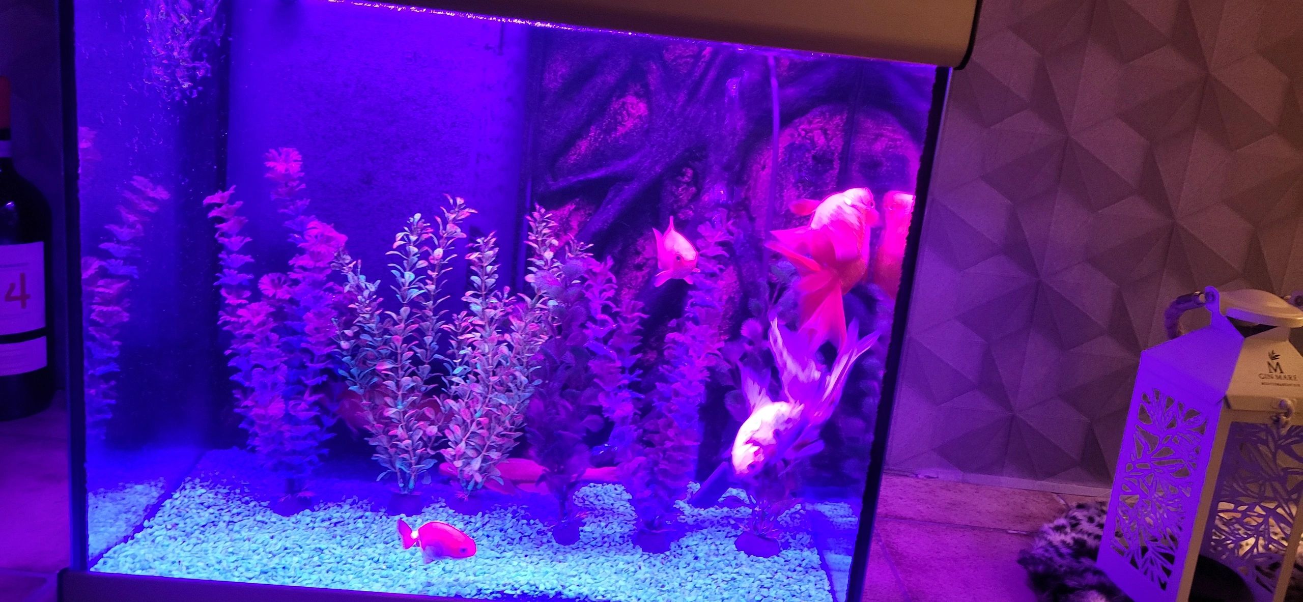 2 x RGB led strip: 200 - 250 cm complete set