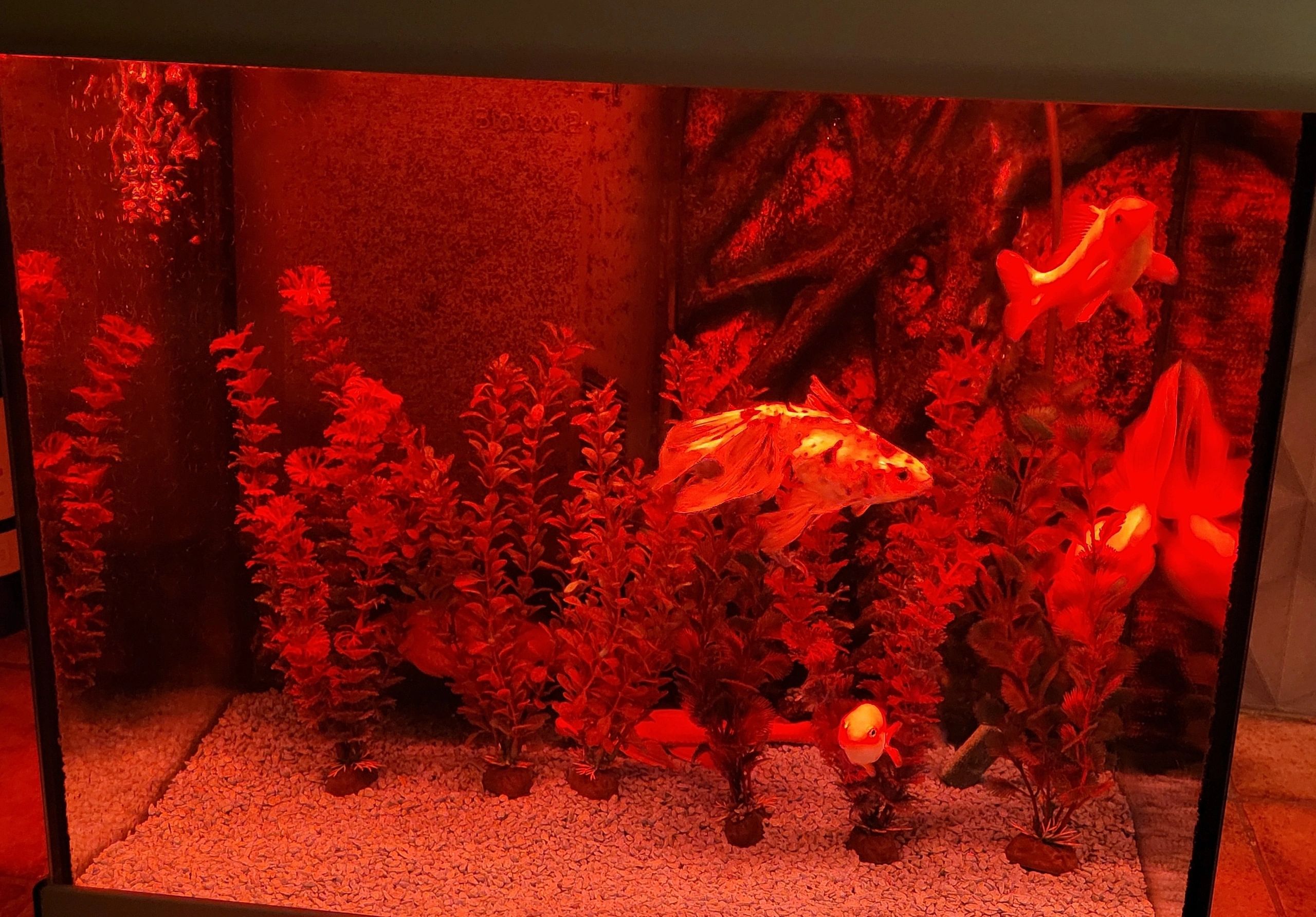 2 x RGB led strip: 200 - 250 cm complete set