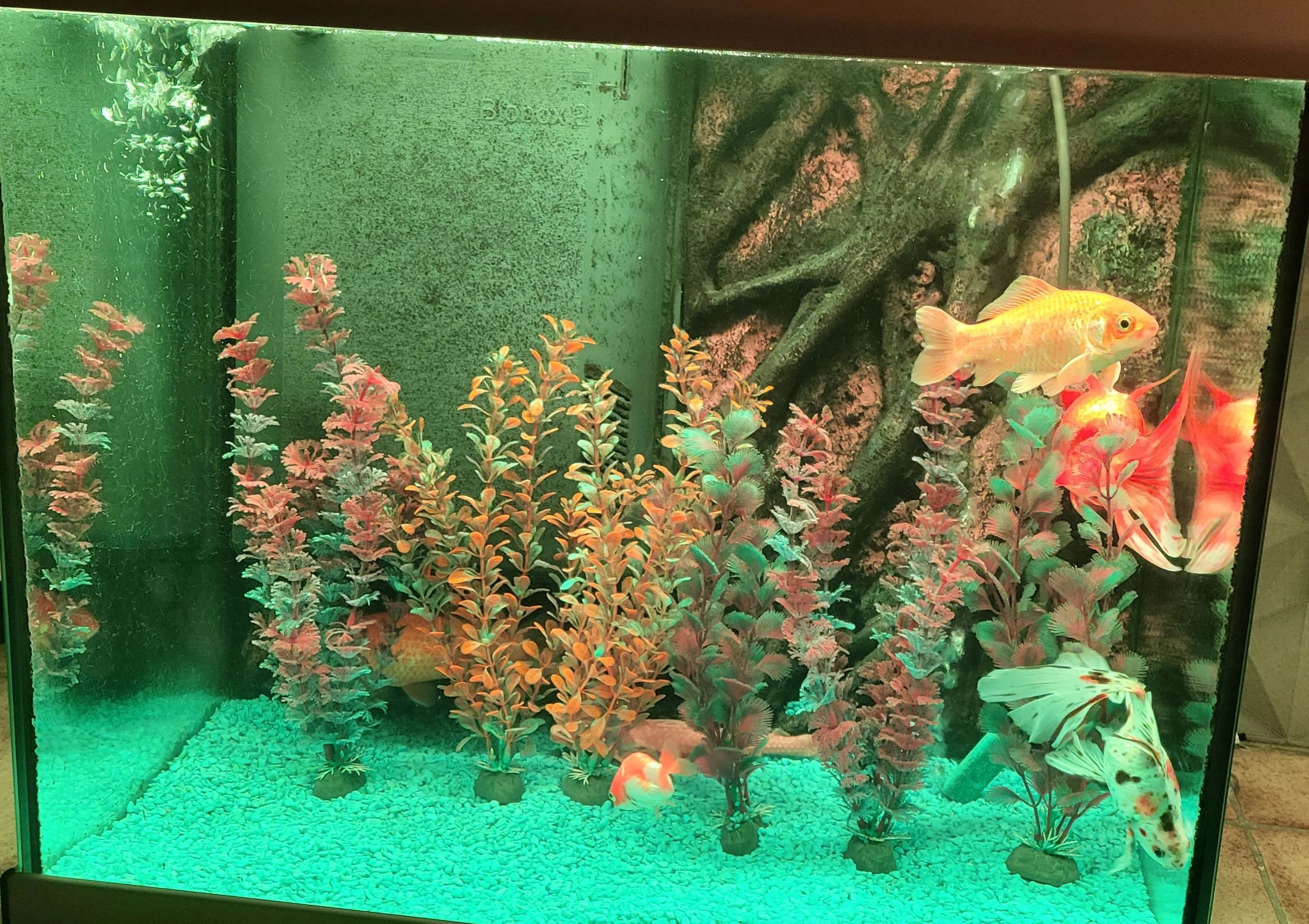 2 x RGB led strip: 200 - 250 cm complete set