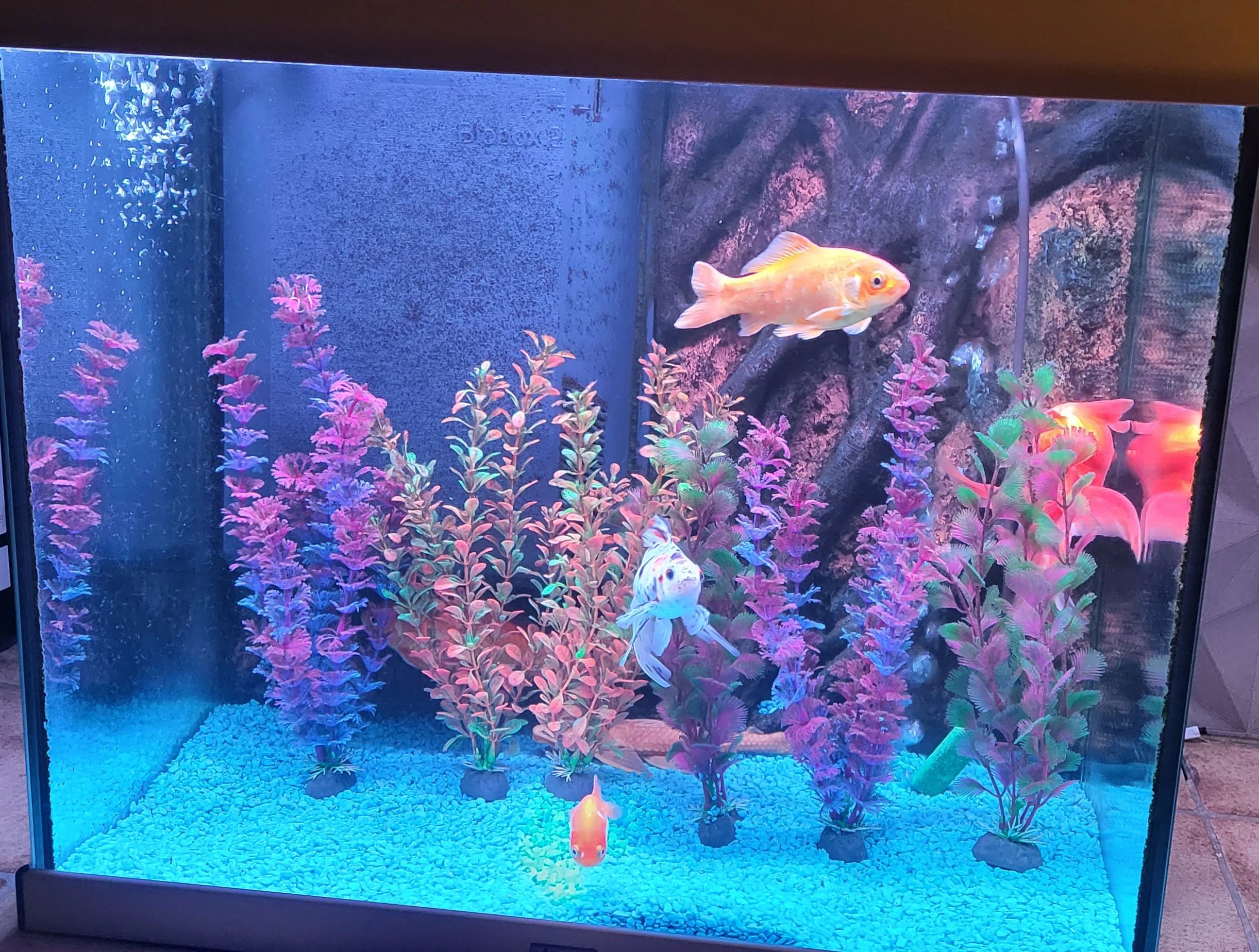 2 x RGB led strip: 200 - 250 cm complete set