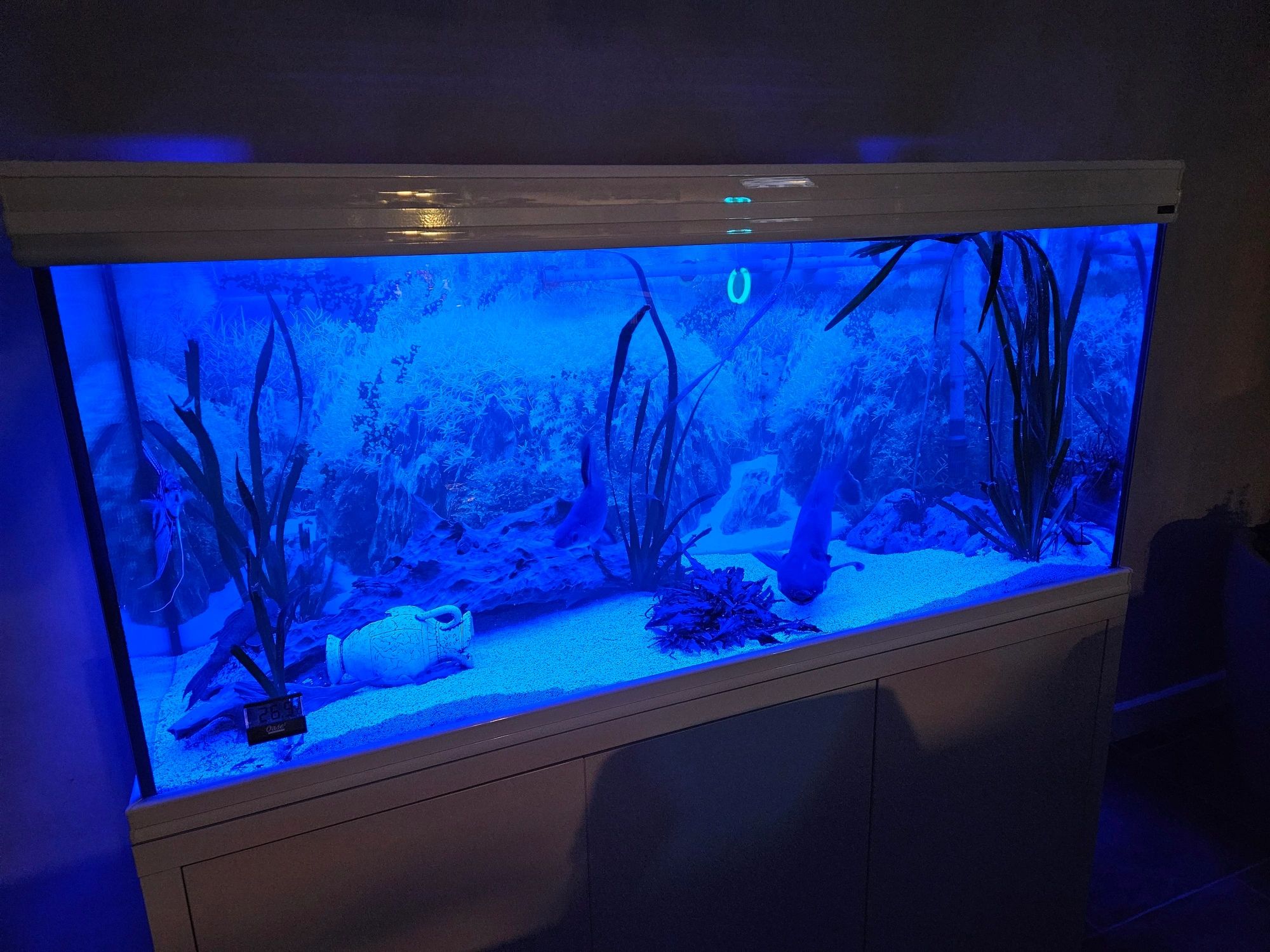 3 x RGB led strip: 200 - 250 cm complete set
