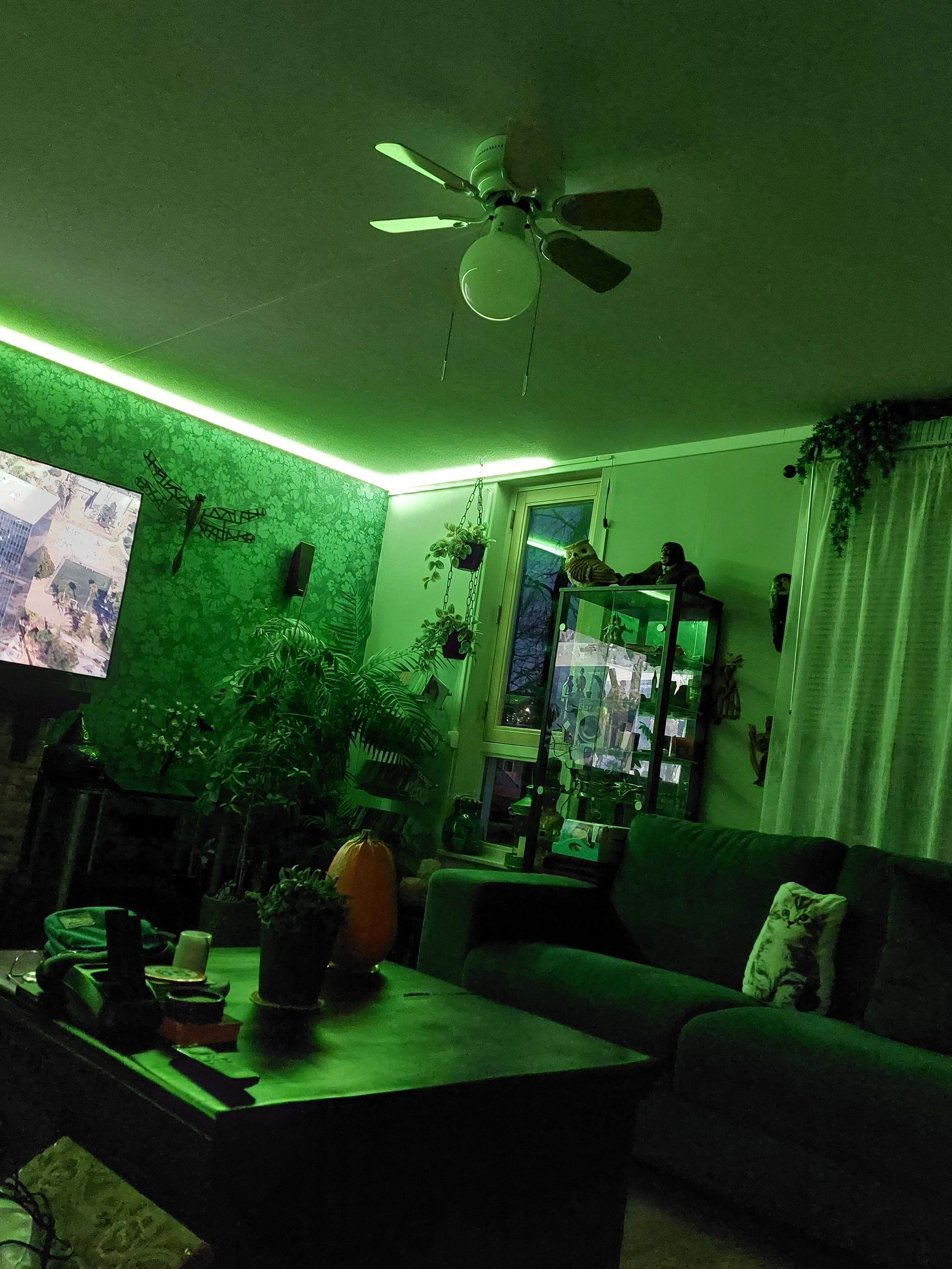 4 meter RGBWW led strip prime met 840 leds p/m - complete set