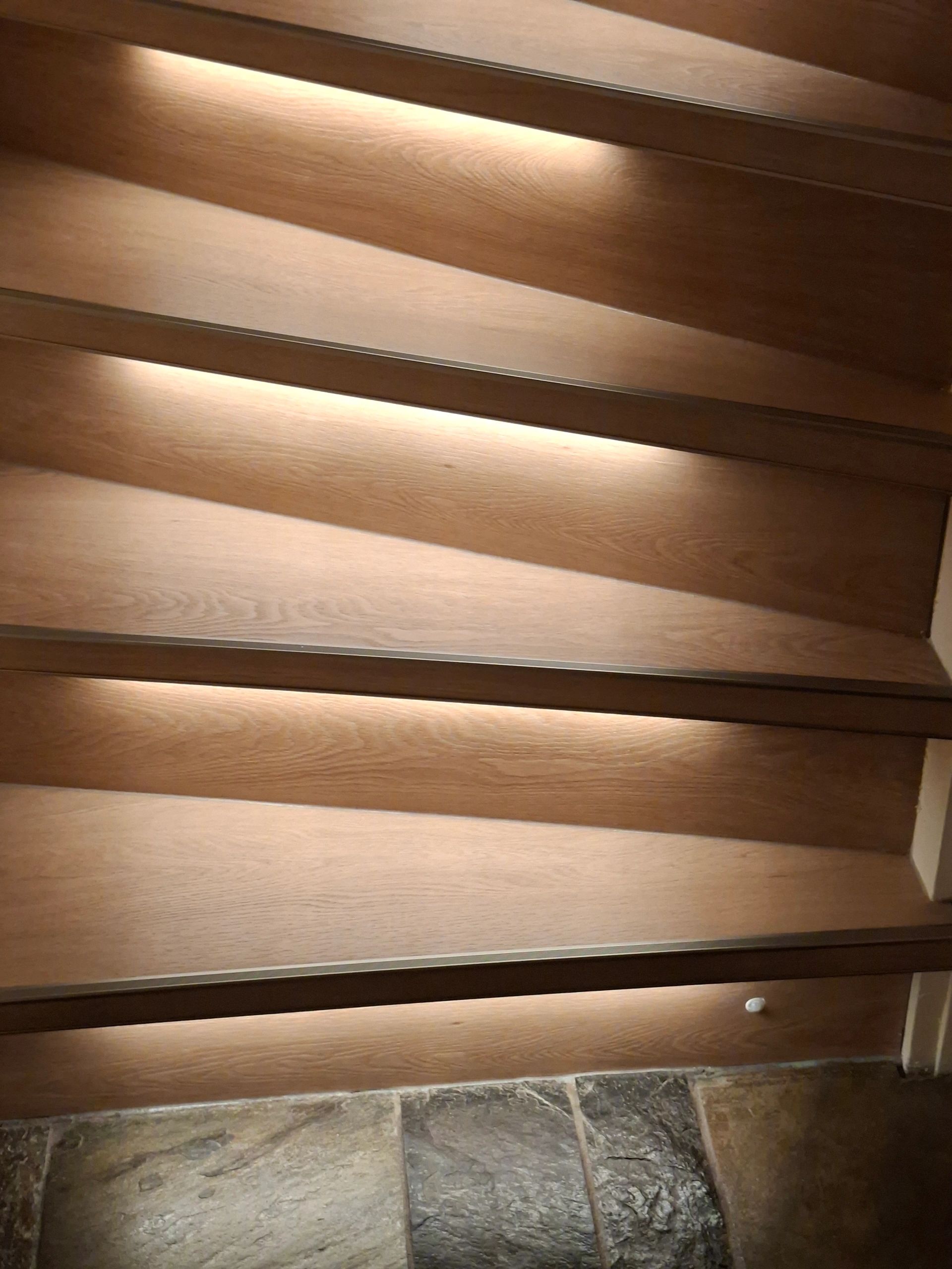 Dynamische trapverlichting set Premium 50 cm met profiel