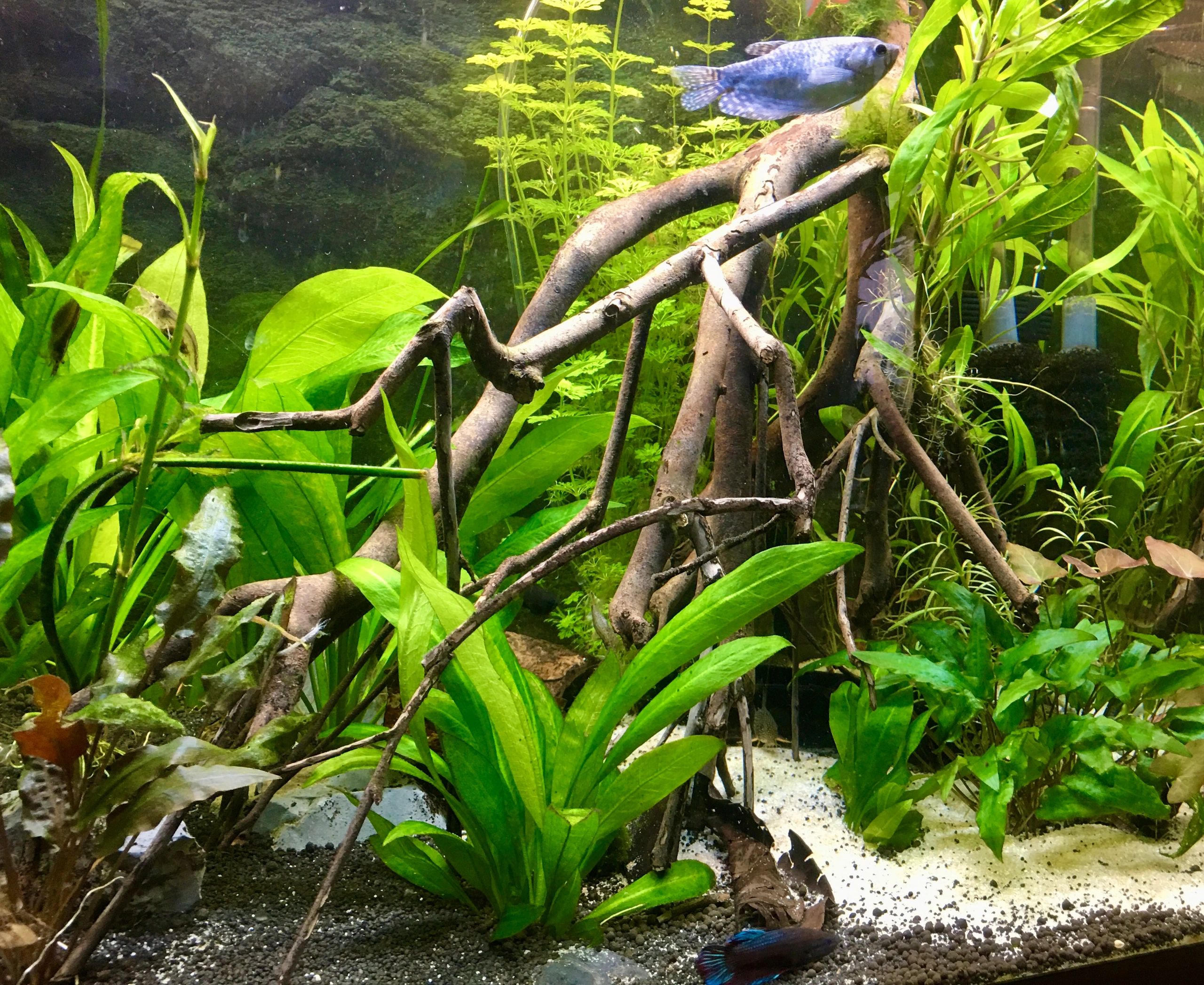 36 Watt - 24V / 1.5A adapter voor led strips