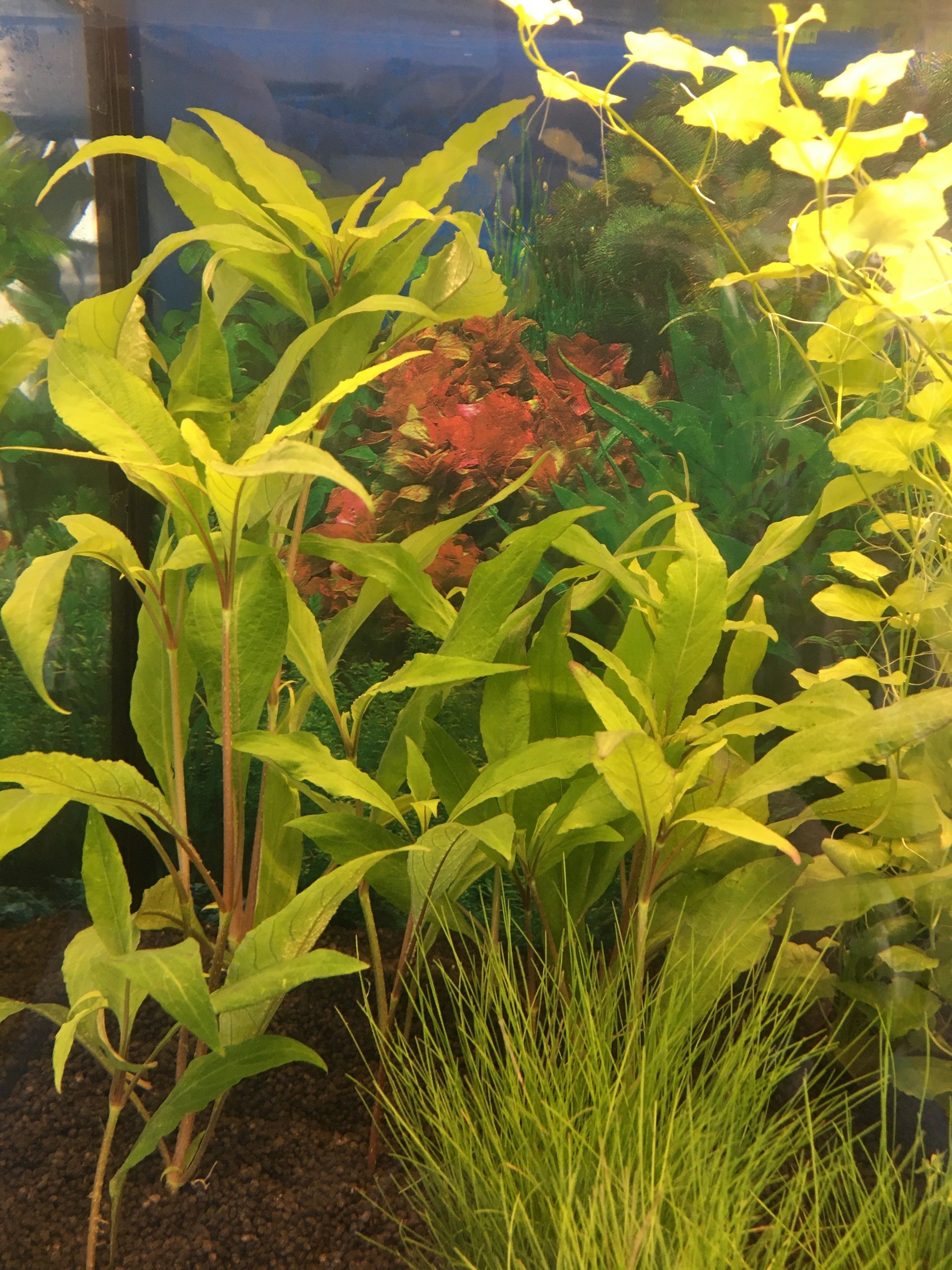2 t/m 2,5 meter WARM WIT complete set aquarium led strip