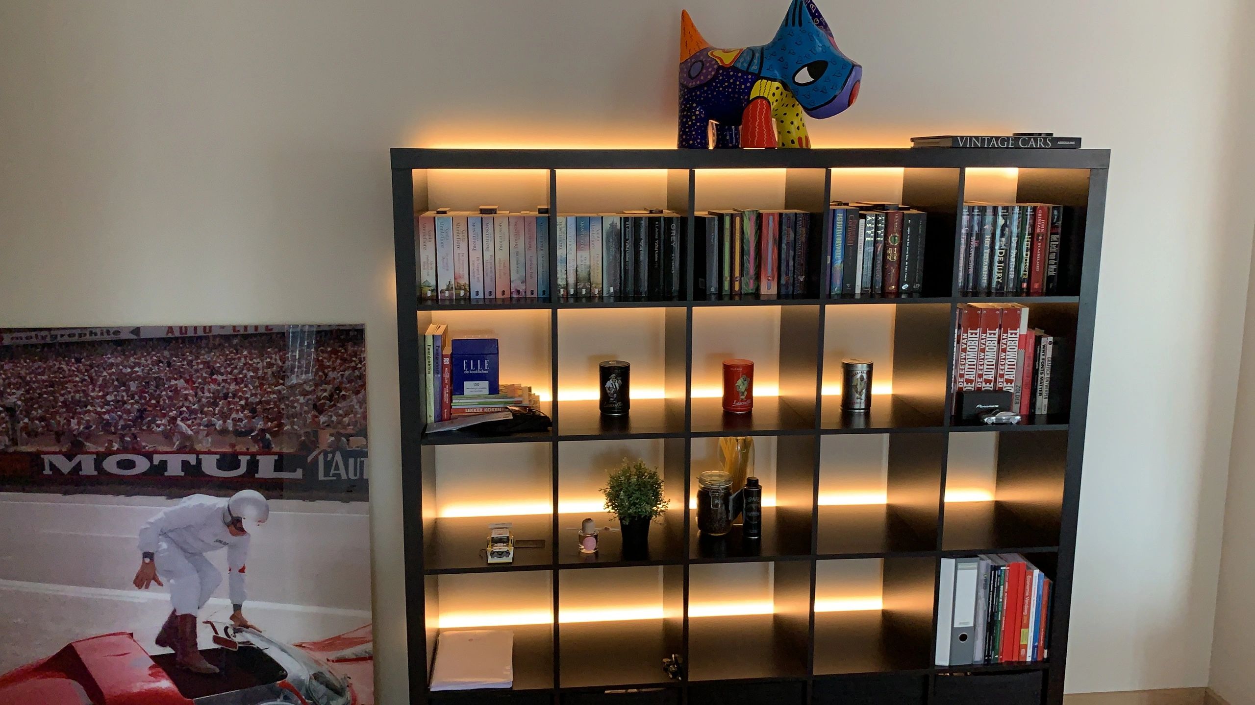 Dual White splitter kabel in 2 delen