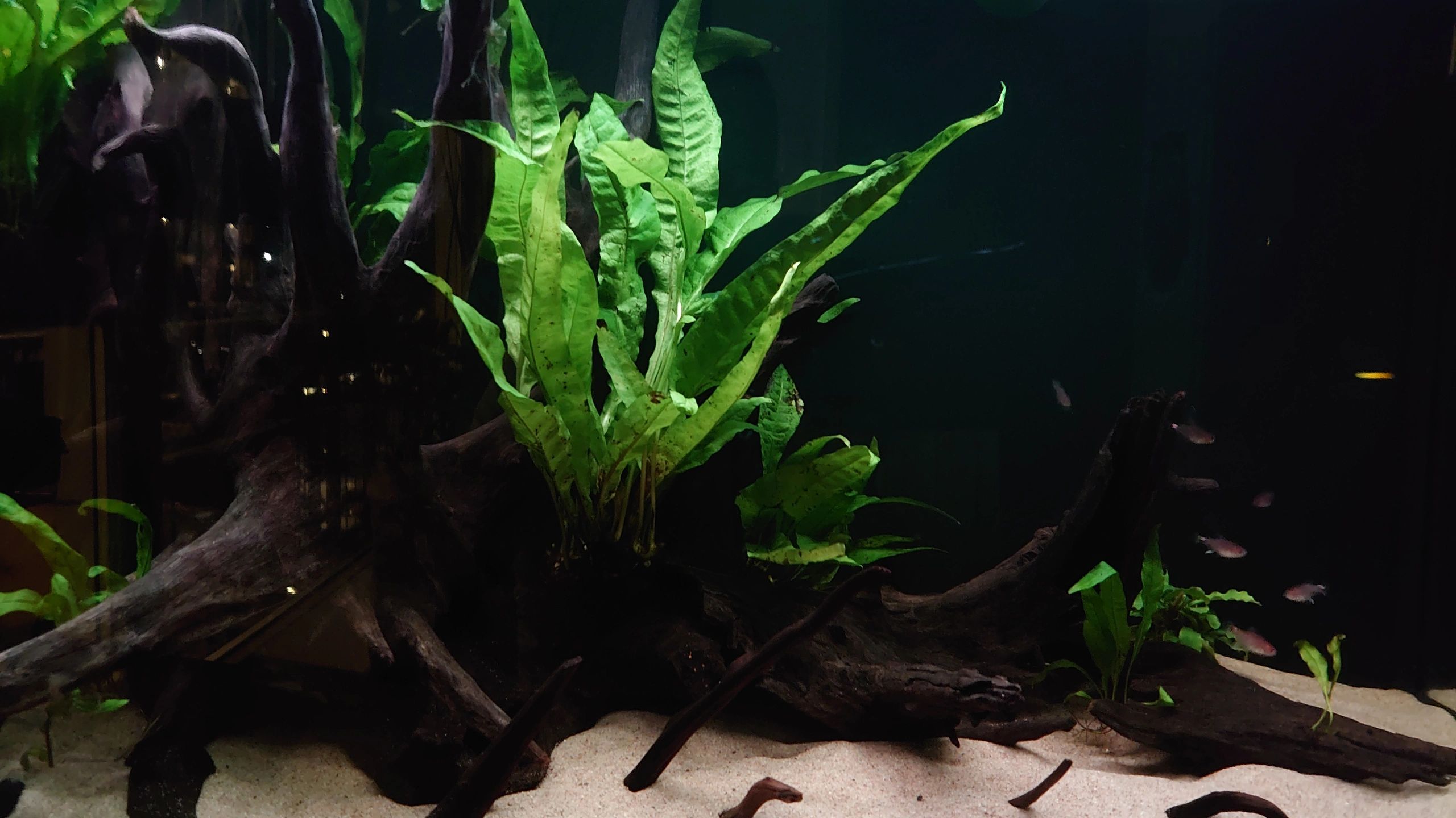100 tot 150 cm - RGB complete set aquarium led strip