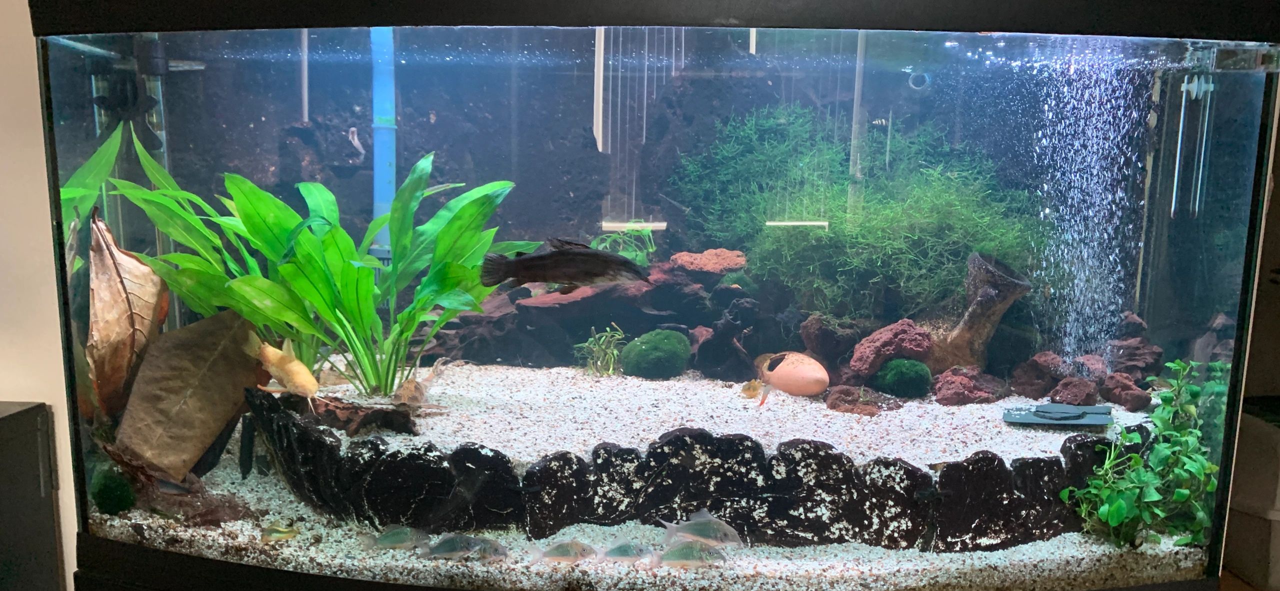 2 x RGB led strip: 200 - 250 cm complete set