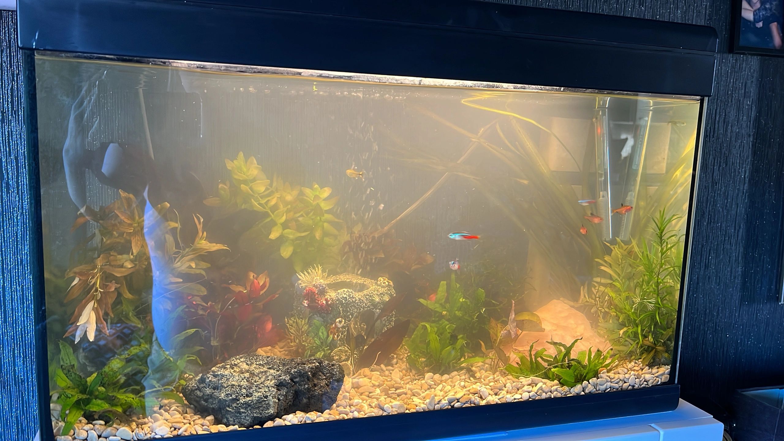 2 t/m 2,5 meter WARM WIT complete set aquarium led strip