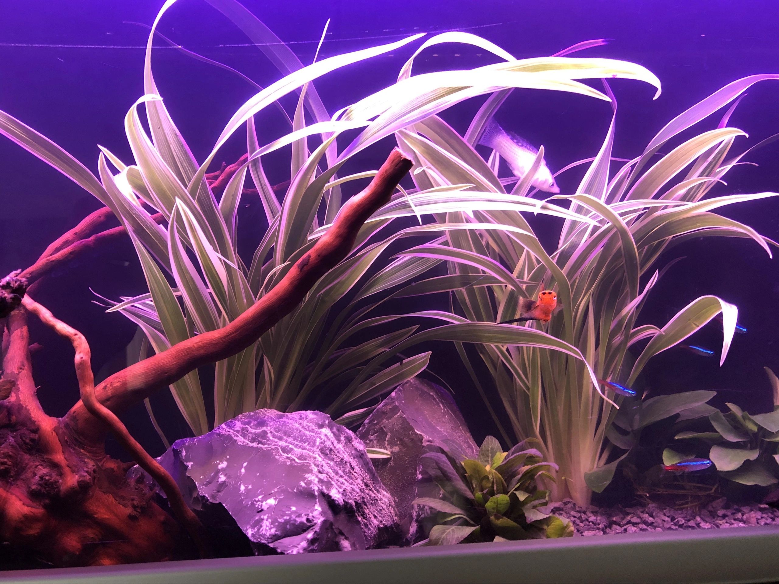 2 t/m 2,5 meter WARM WIT complete set aquarium led strip