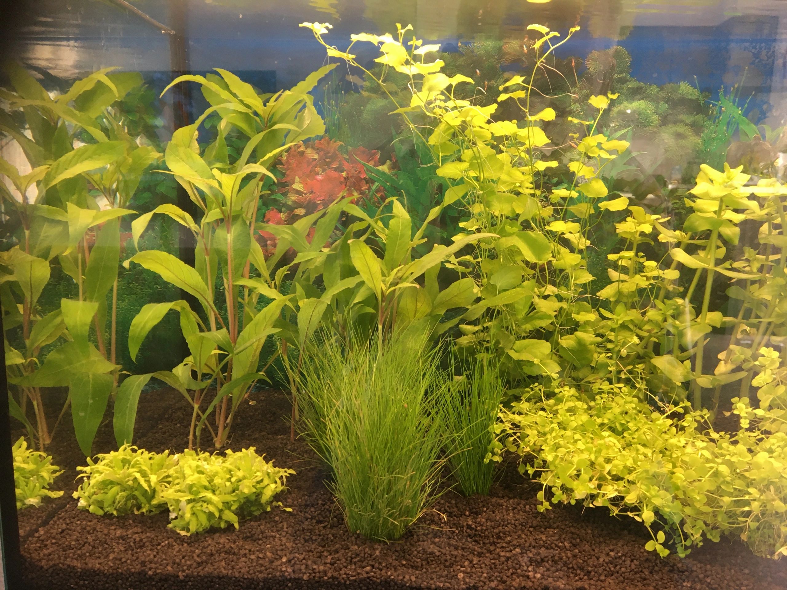 2 t/m 2,5 meter WARM WIT complete set aquarium led strip