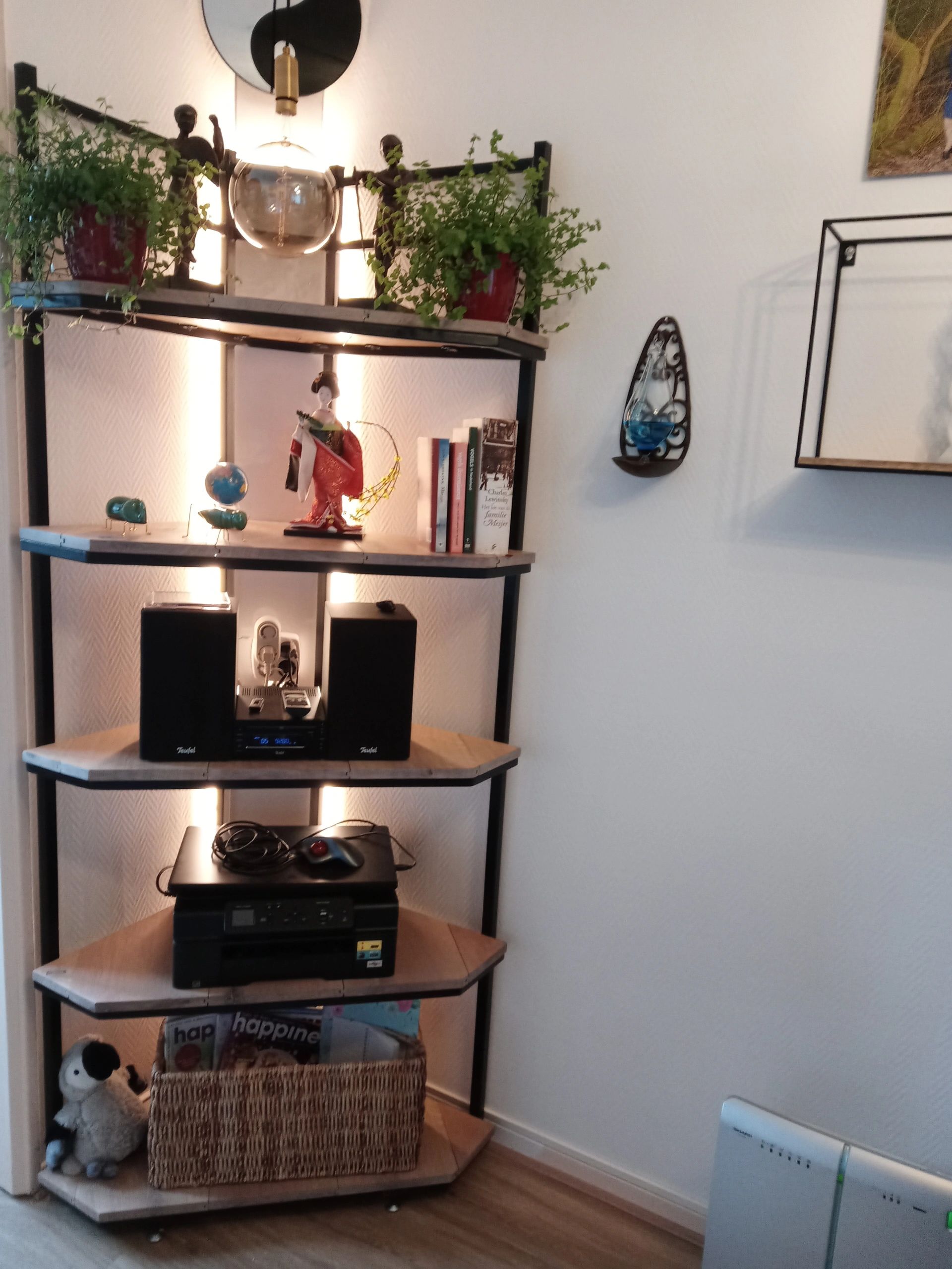 Draadloze dimmer 10 knops RF