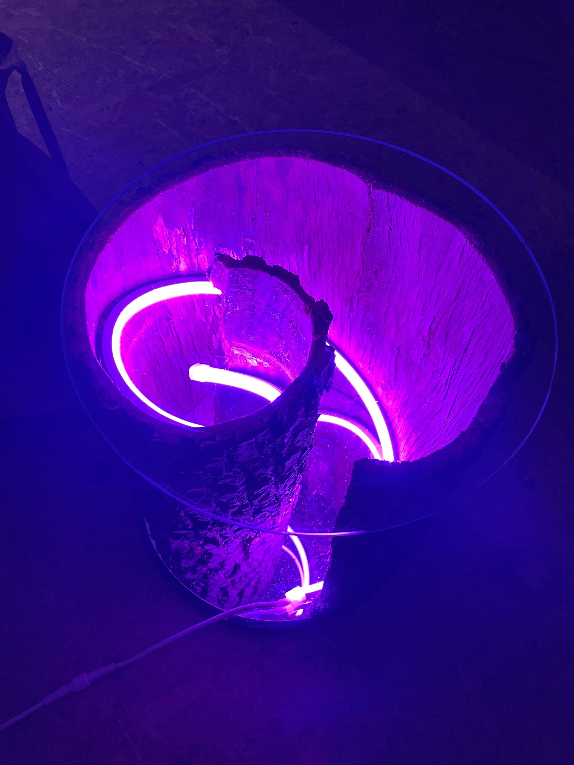 4 meter RGB Neon LED flex Midi Recht - complete set neon verlichting