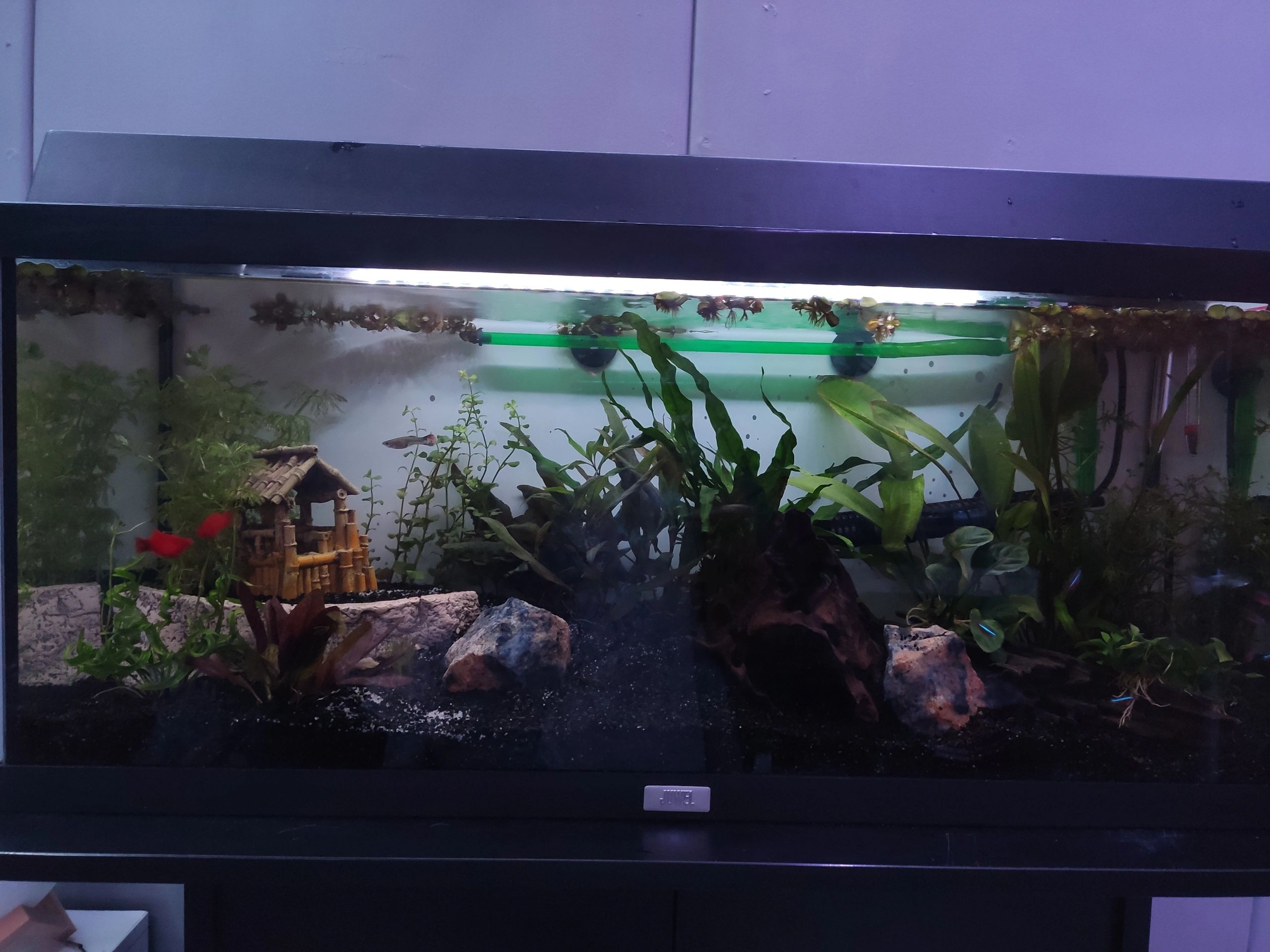 2 x RGB led strip + 1 enkele kleur strip: 50 - 70 cm complete set